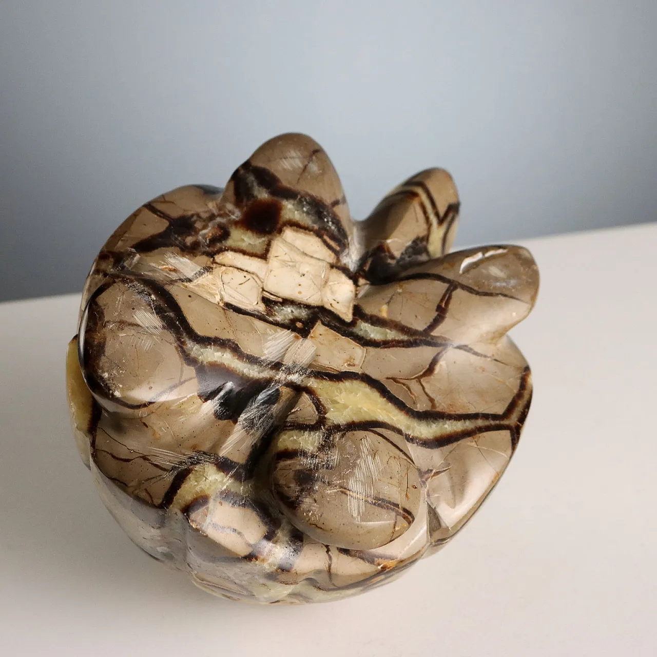 Septaria stone turtle from Madagascar, 20th century 8