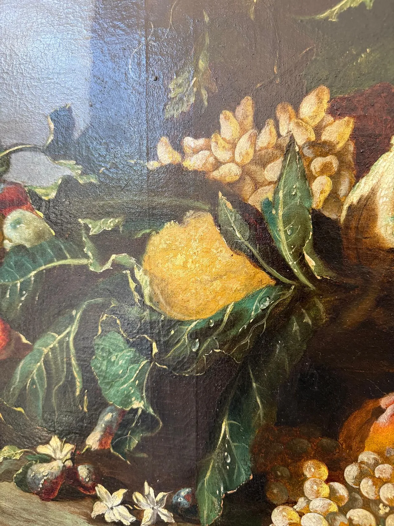 Still Life with Fruits, Signed Oil on Canvas, 19th Century 7