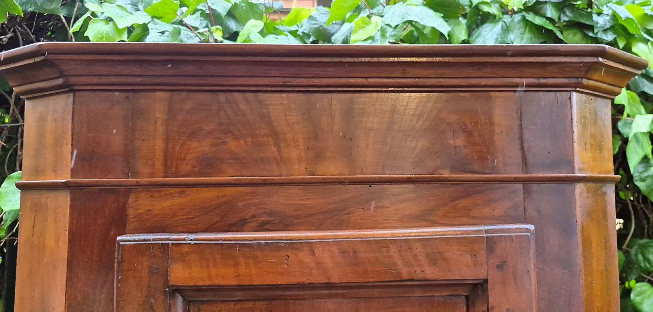 Cantonal walnut corner panel, late 19th century 6