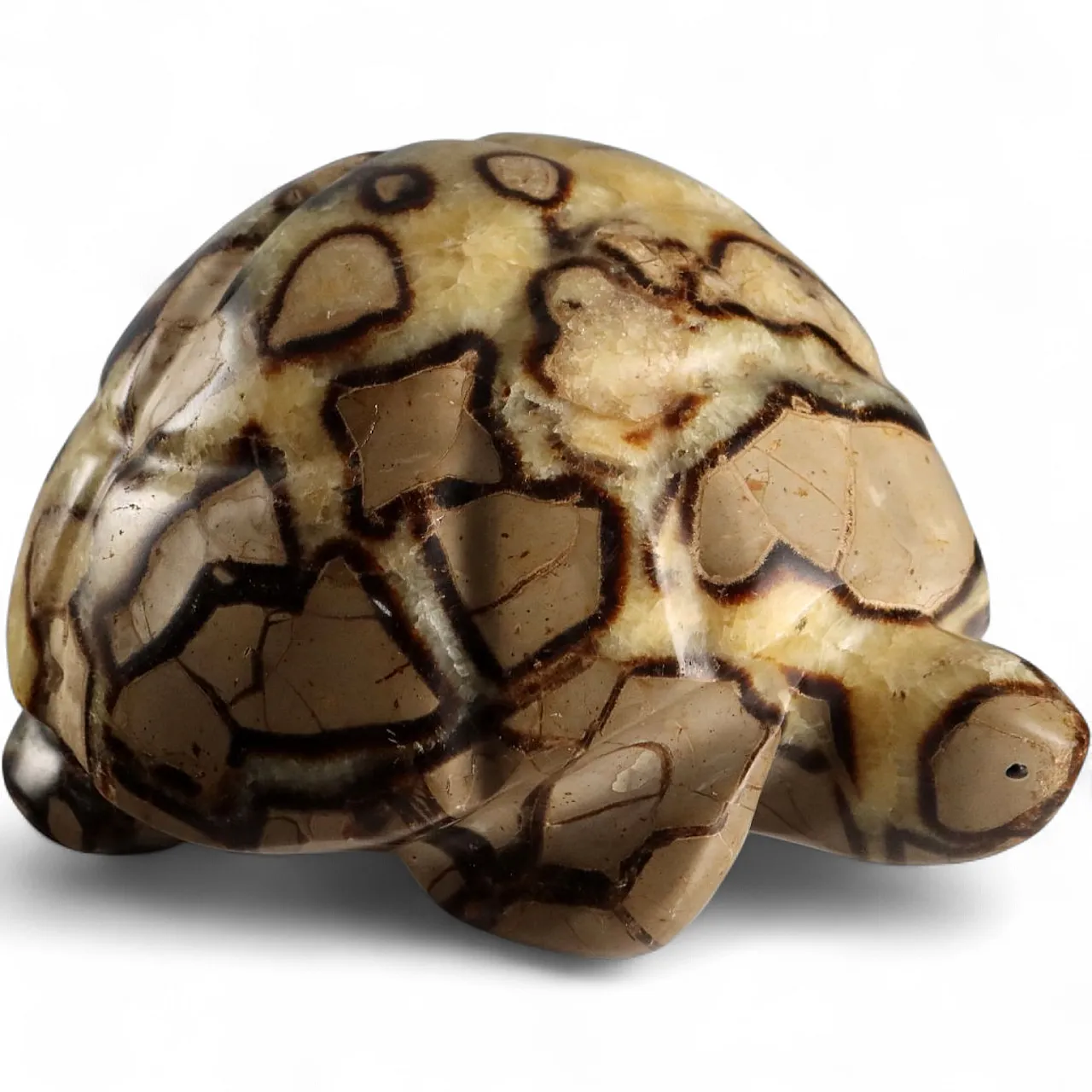 Septaria stone turtle from Madagascar, 20th century 9