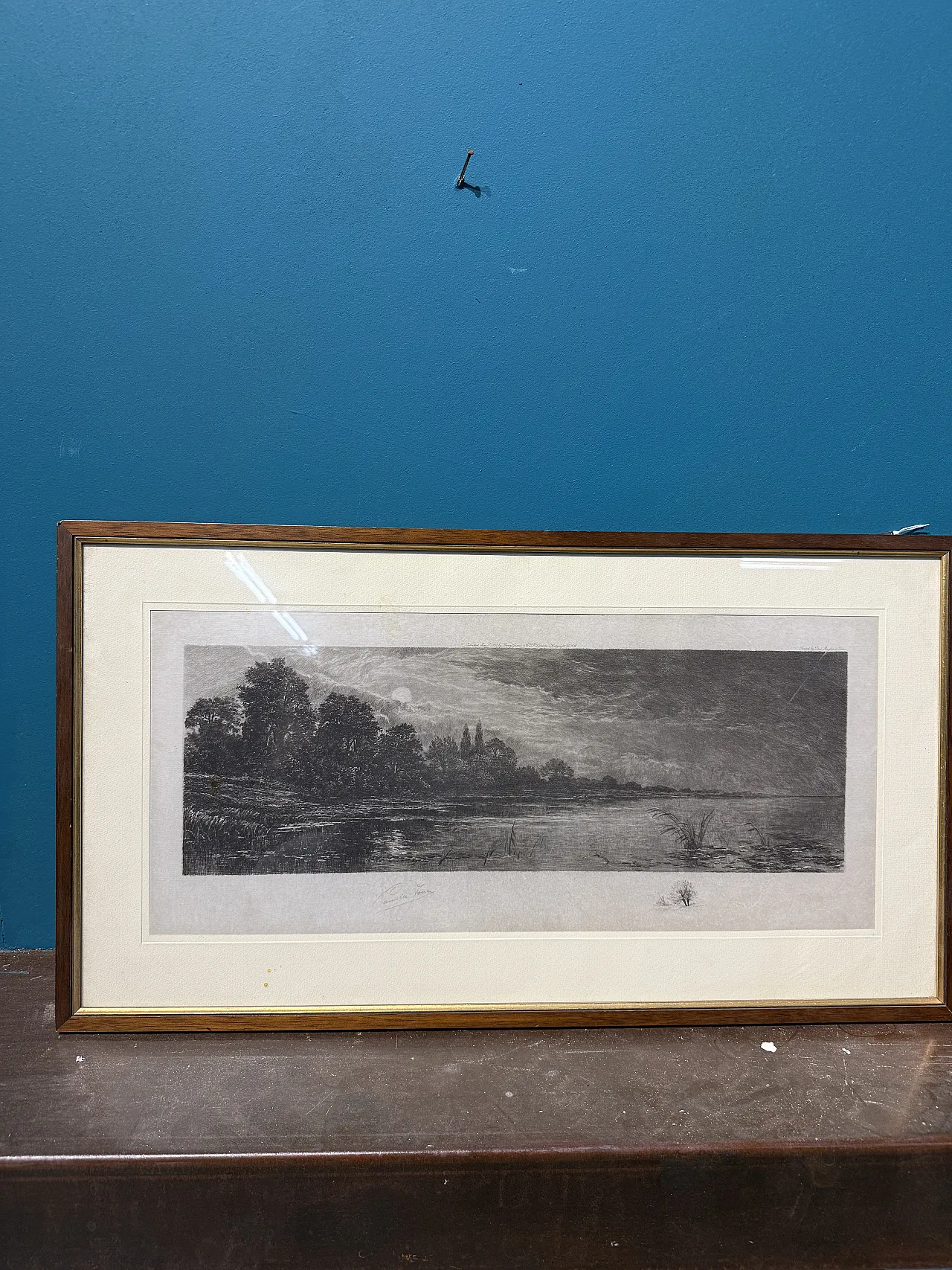 Ancient naturalist etching by Jean-Camille Fonce, 1867-1938 1
