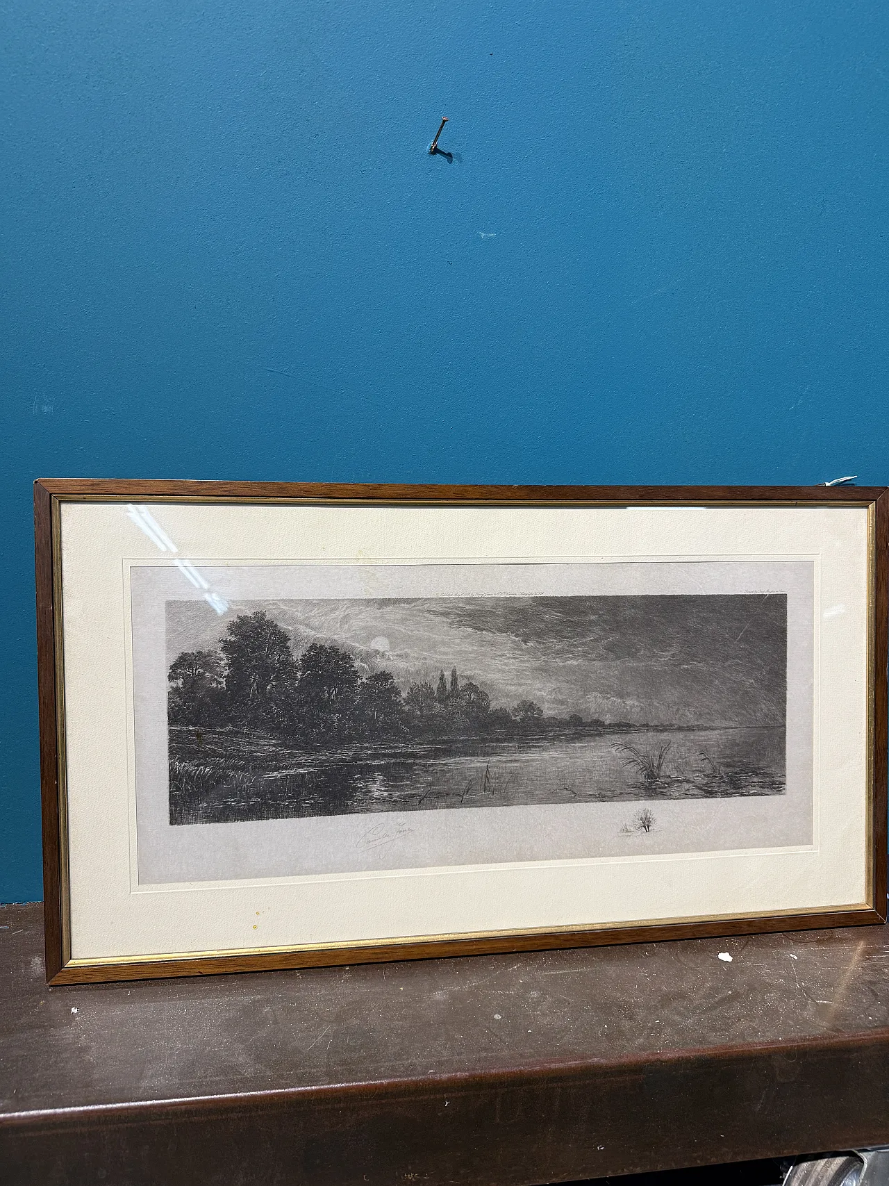 Ancient naturalist etching by Jean-Camille Fonce, 1867-1938 2