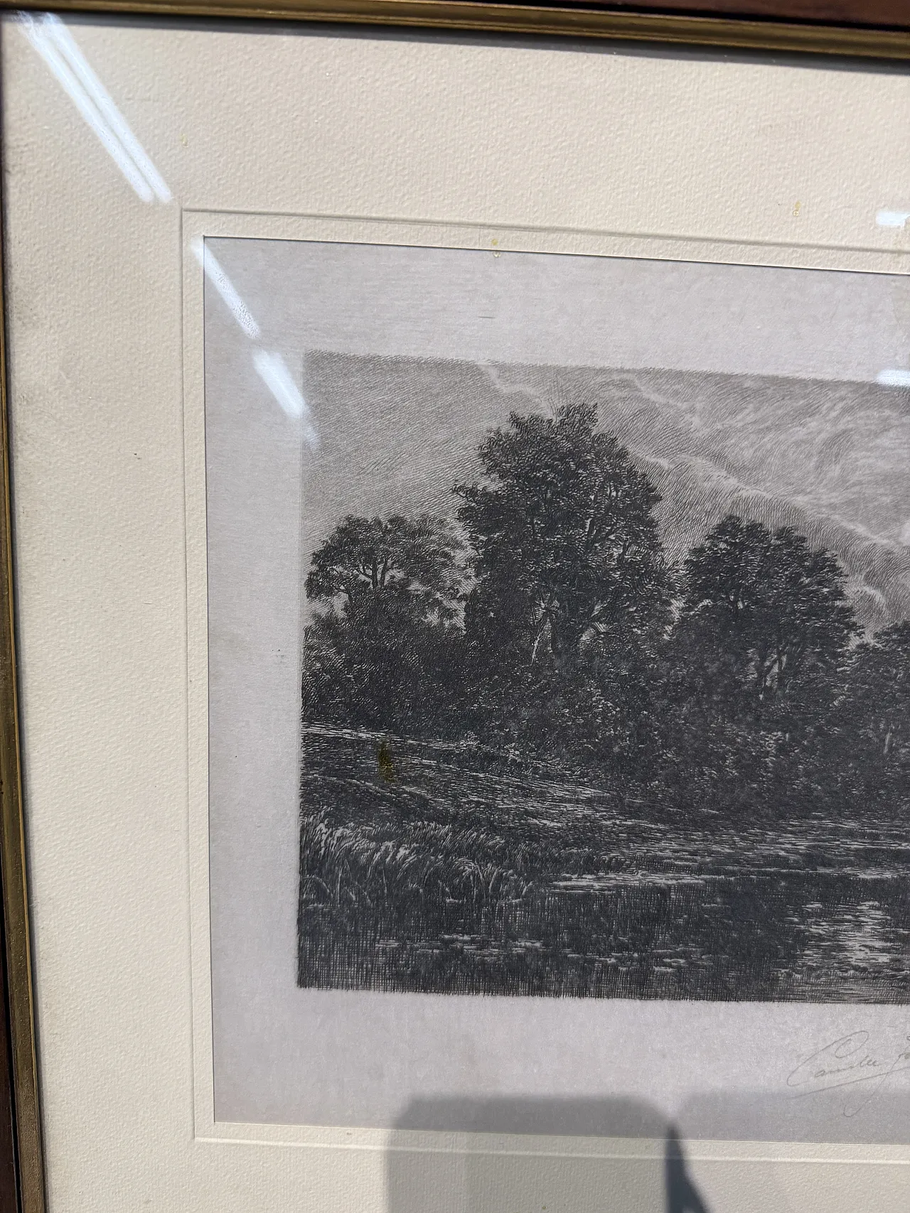 Ancient naturalist etching by Jean-Camille Fonce, 1867-1938 3