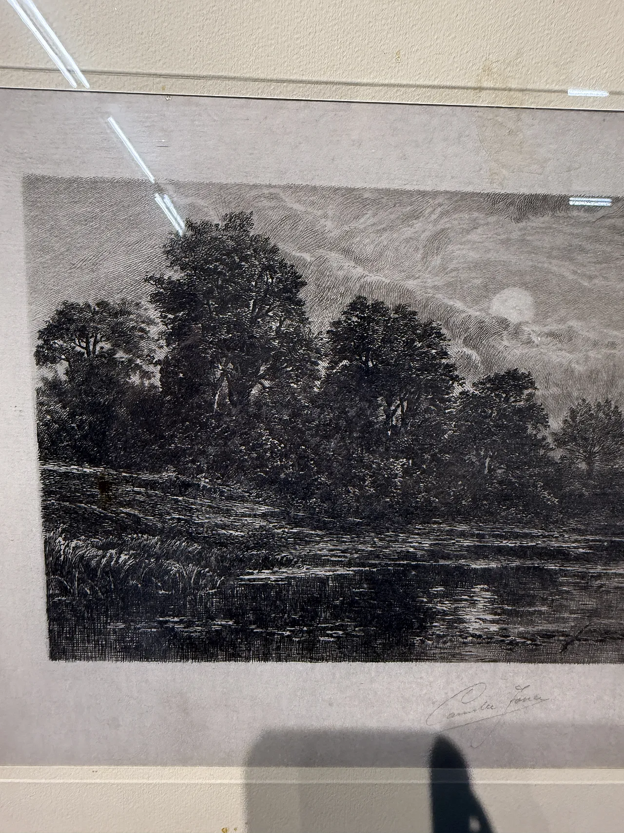 Ancient naturalist etching by Jean-Camille Fonce, 1867-1938 4