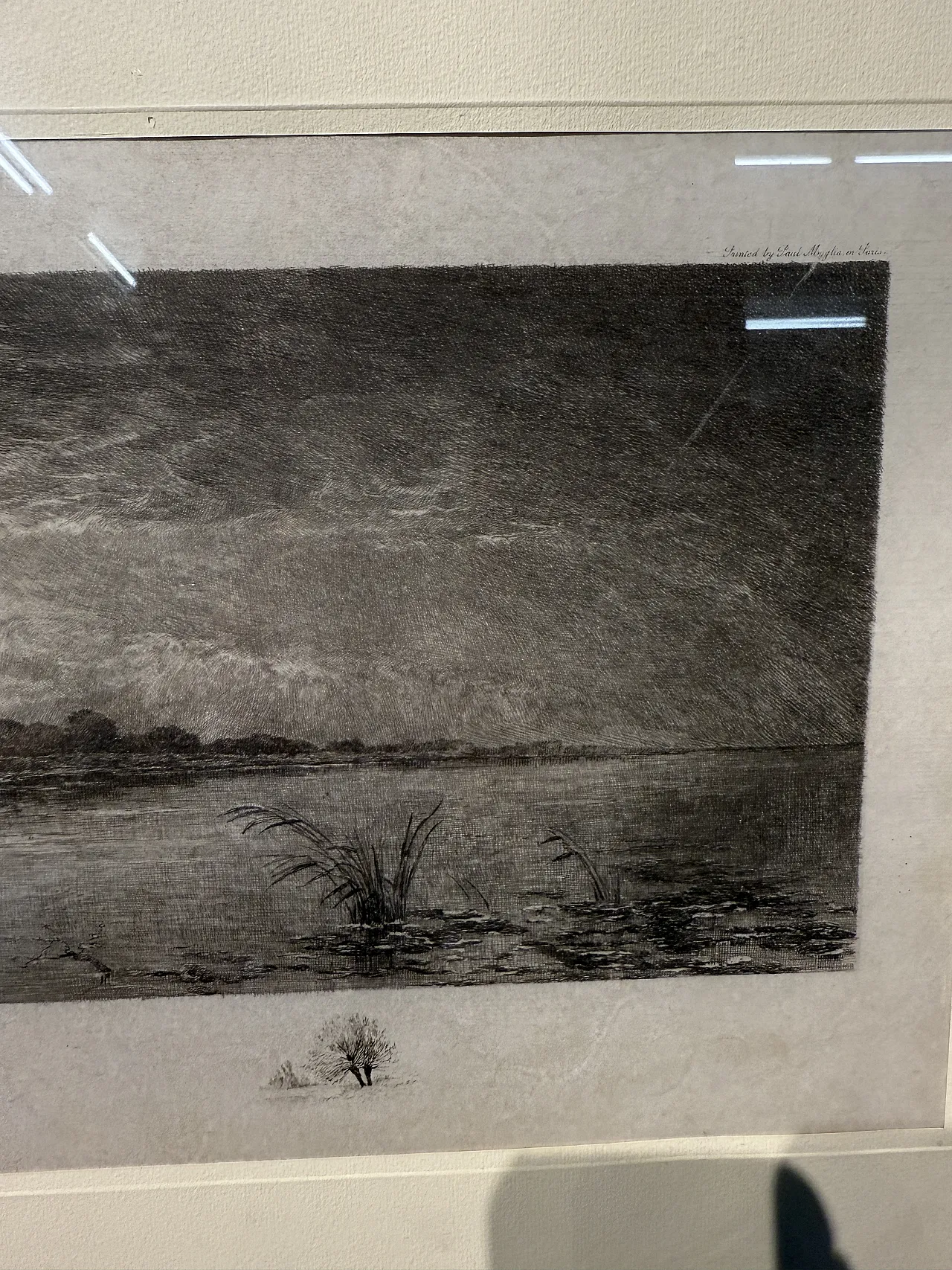 Ancient naturalist etching by Jean-Camille Fonce, 1867-1938 7