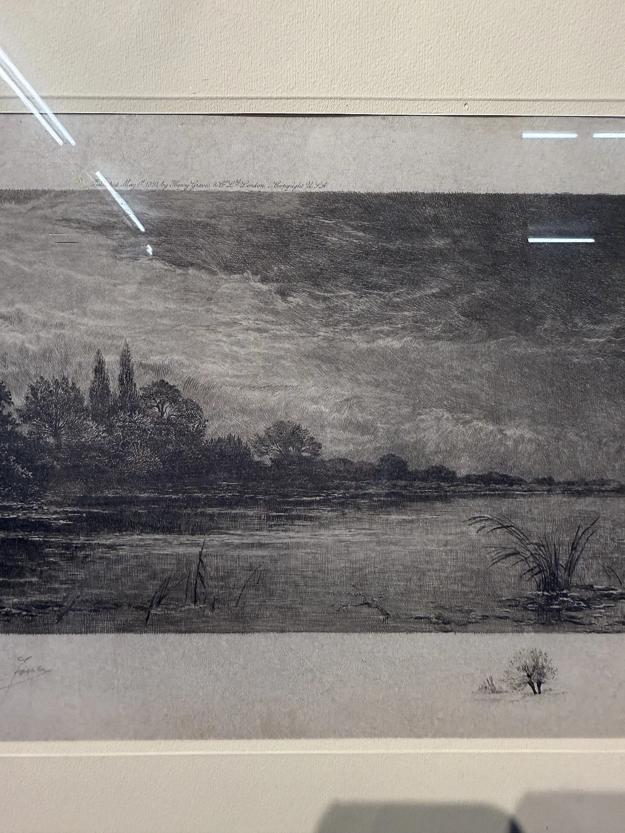 Ancient naturalist etching by Jean-Camille Fonce, 1867-1938 8