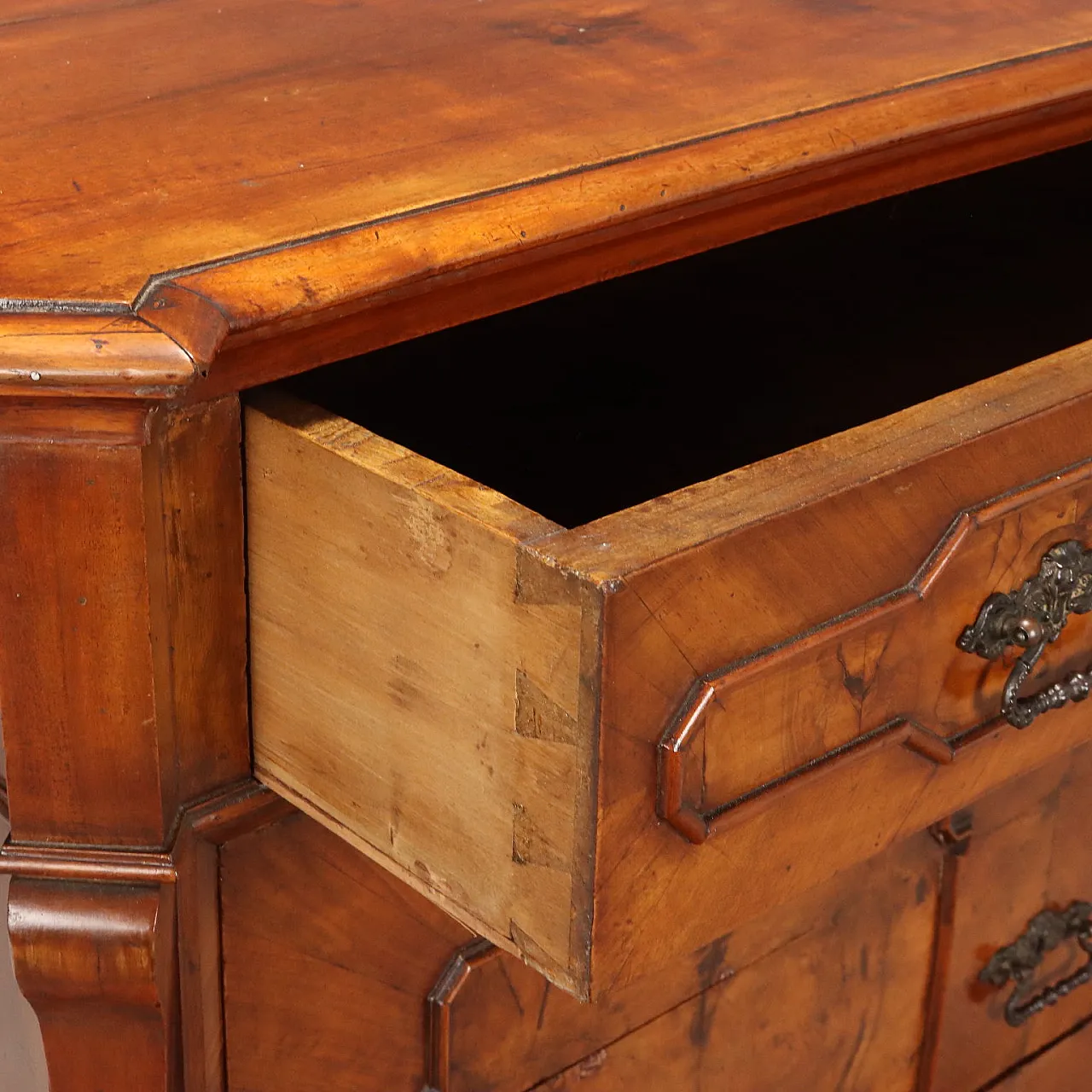Umbertino chest of drawers in walnut and walnut root, 19th century 4