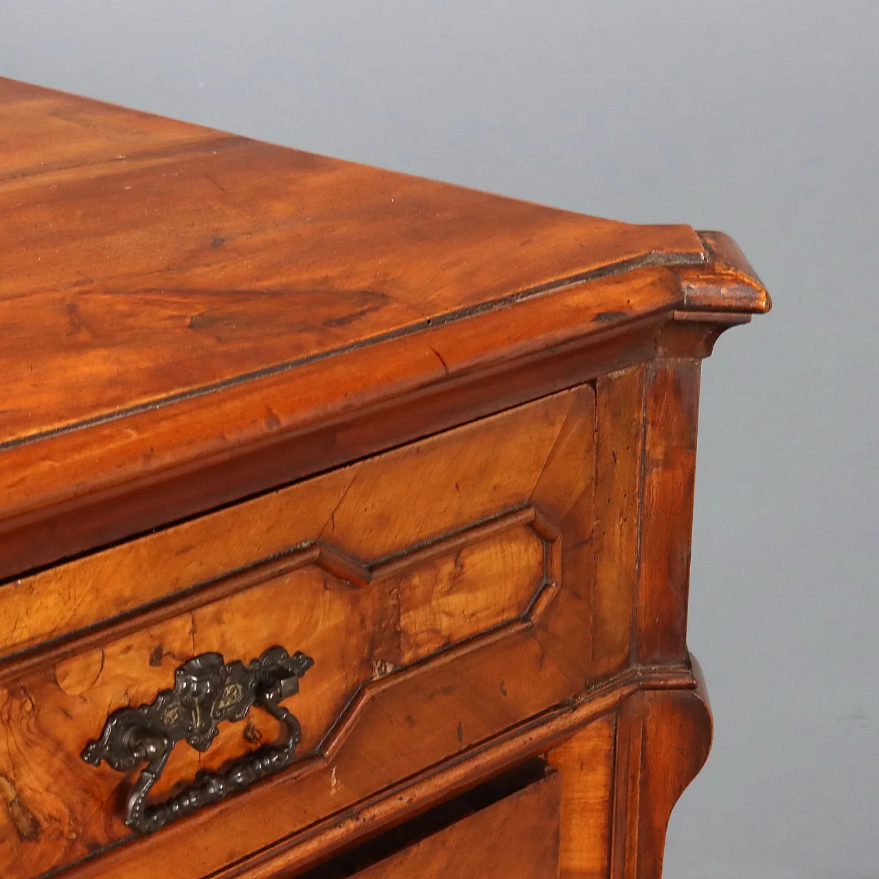 Umbertino chest of drawers in walnut and walnut root, 19th century 6