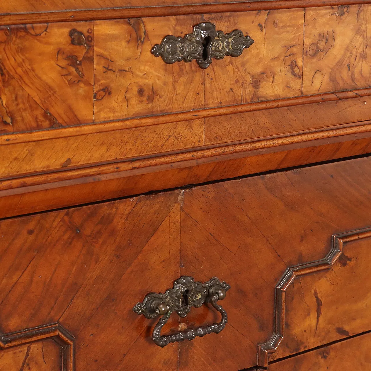 Umbertino chest of drawers in walnut and walnut root, 19th century 7