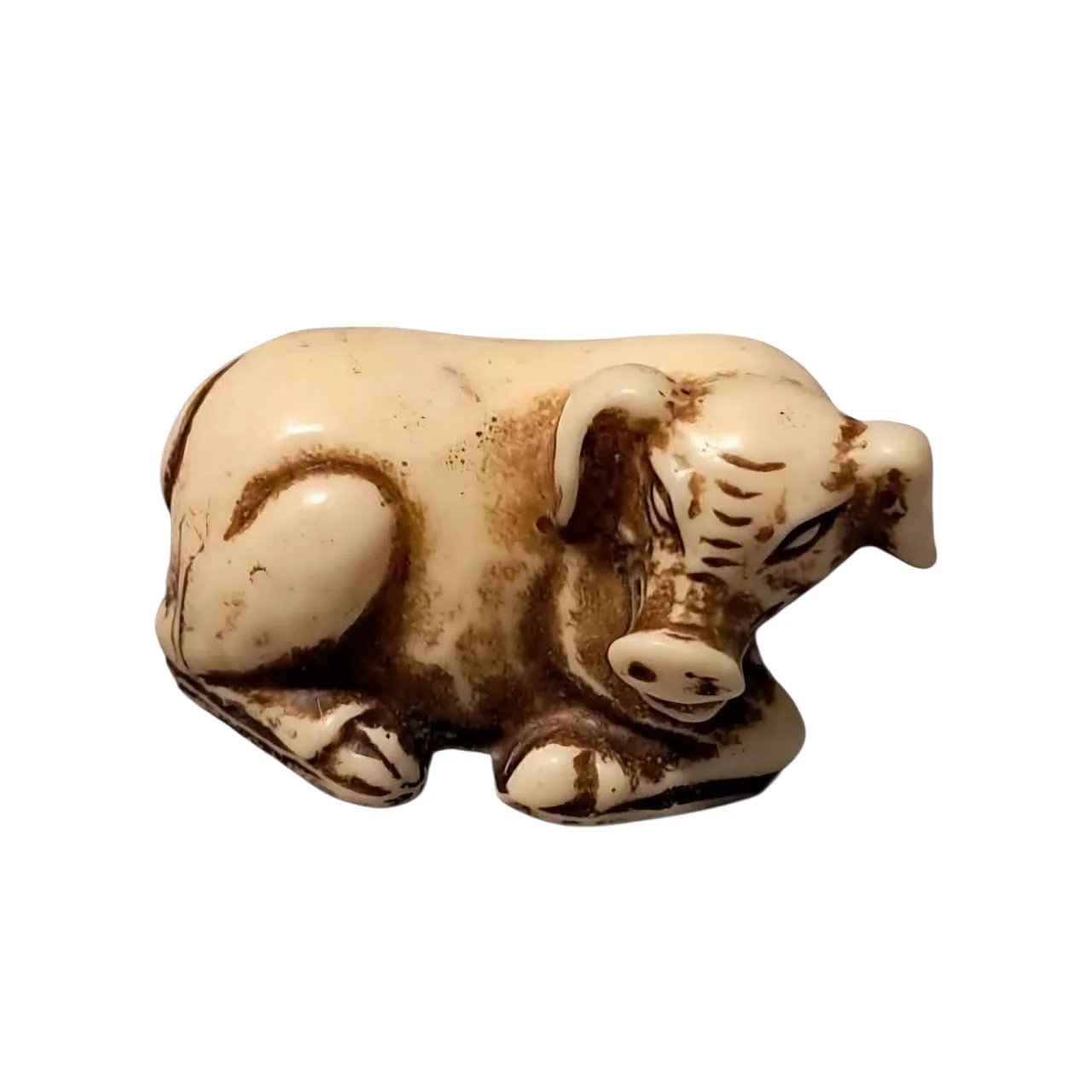 Maiale cinese Netsuke in avorio Dinastia Ming 1