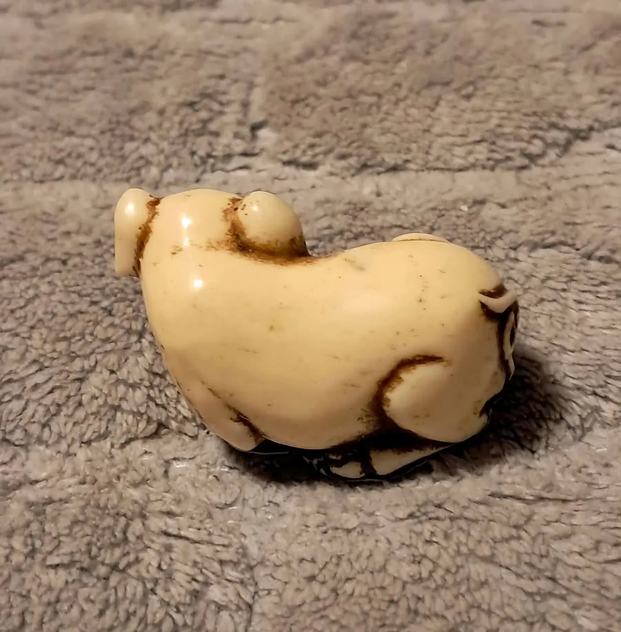Maiale cinese Netsuke in avorio Dinastia Ming 4