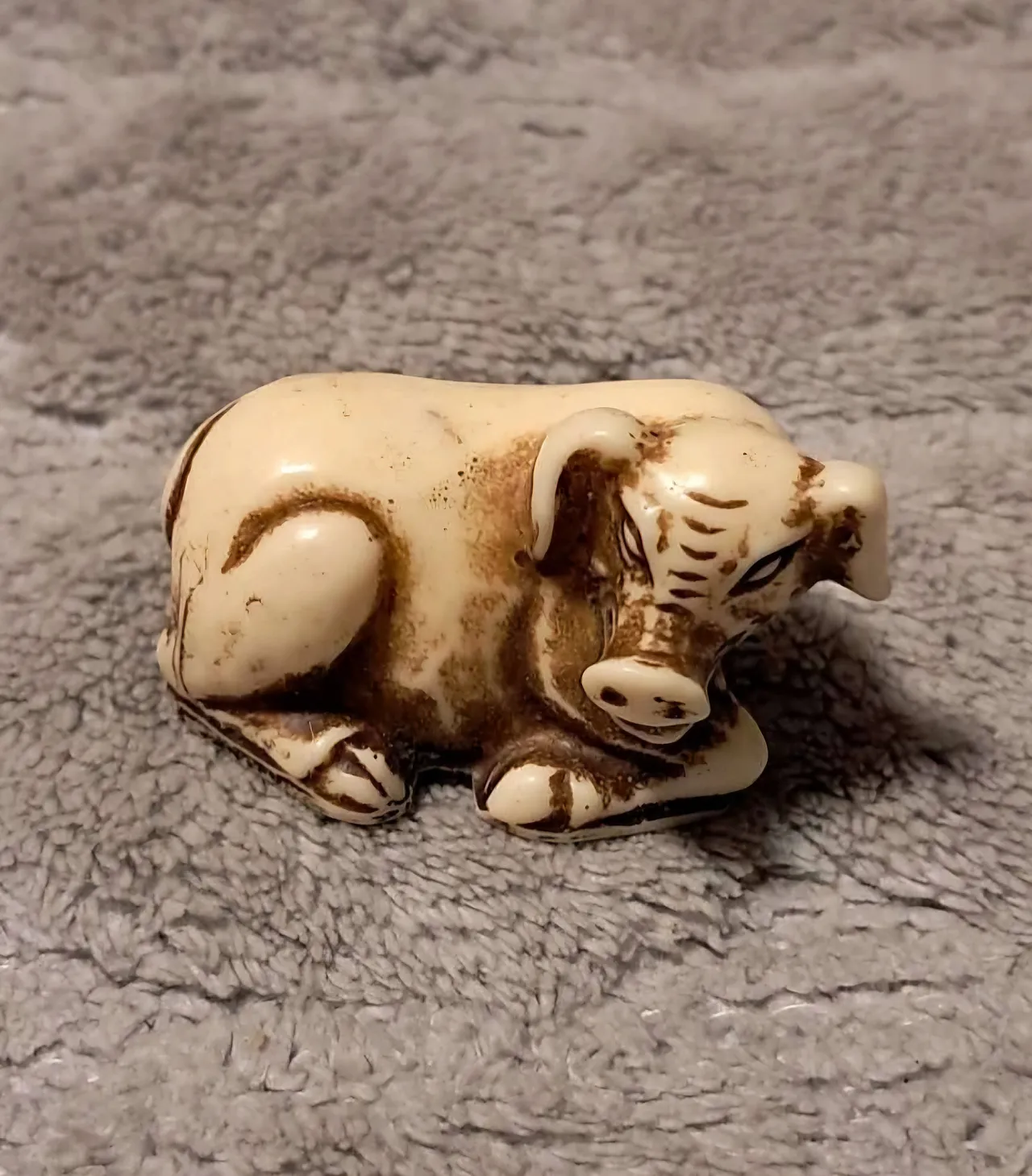 Maiale cinese Netsuke in avorio Dinastia Ming 5