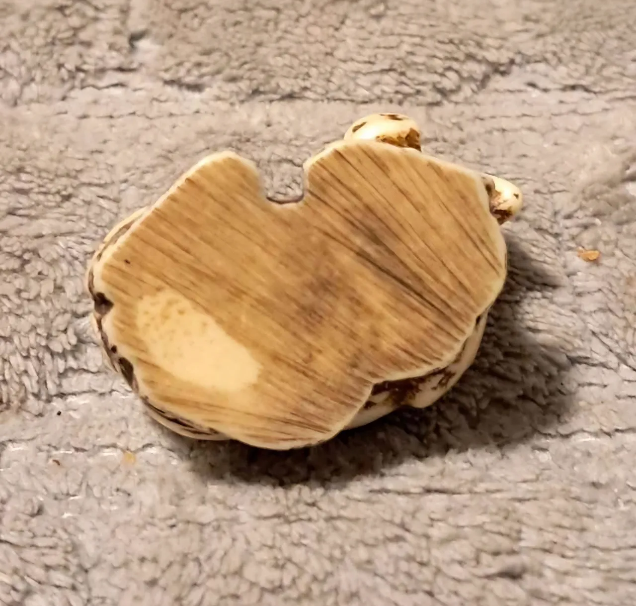Maiale cinese Netsuke in avorio Dinastia Ming 6