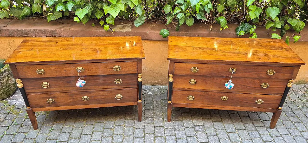 Coppia di cassettoni Impero in noce, '800 2