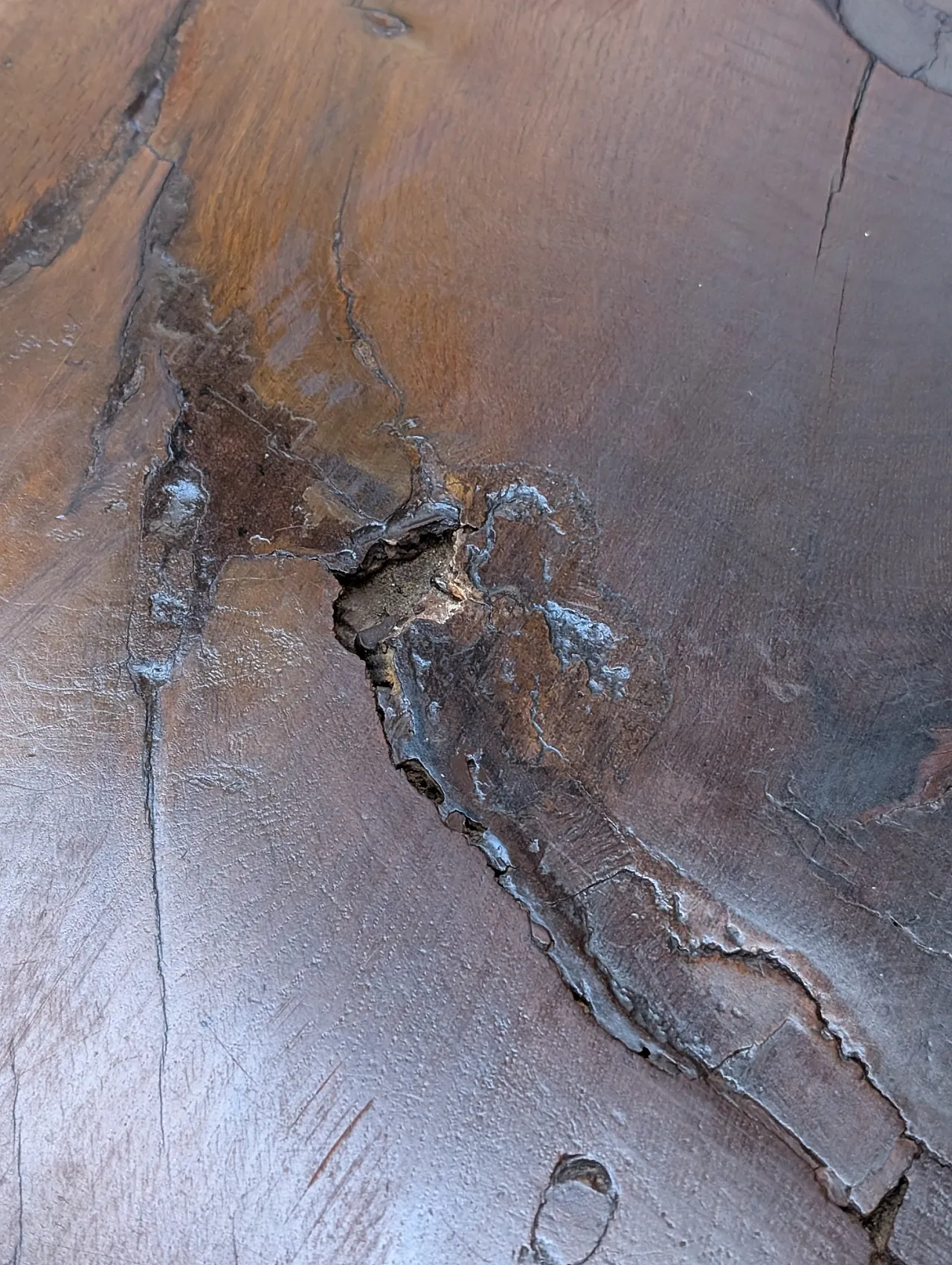 Rustic table in raw beech and chestnut wood, 1890-1920 6