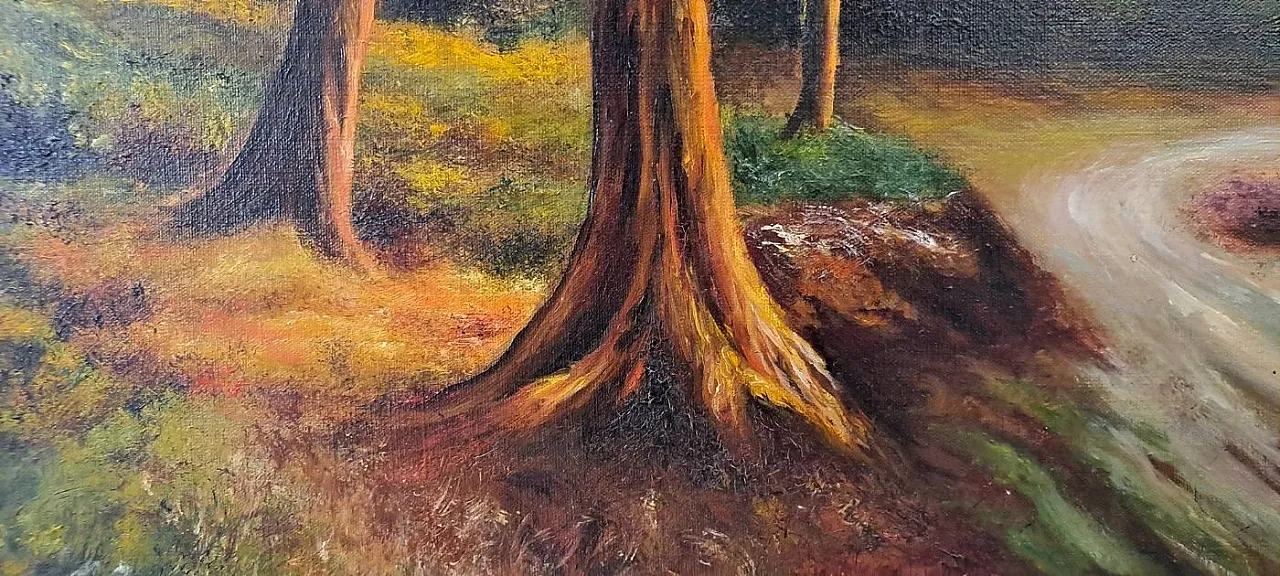 Paesaggio collinare al tramonto con ruscello, olio su tela, primo '900 6