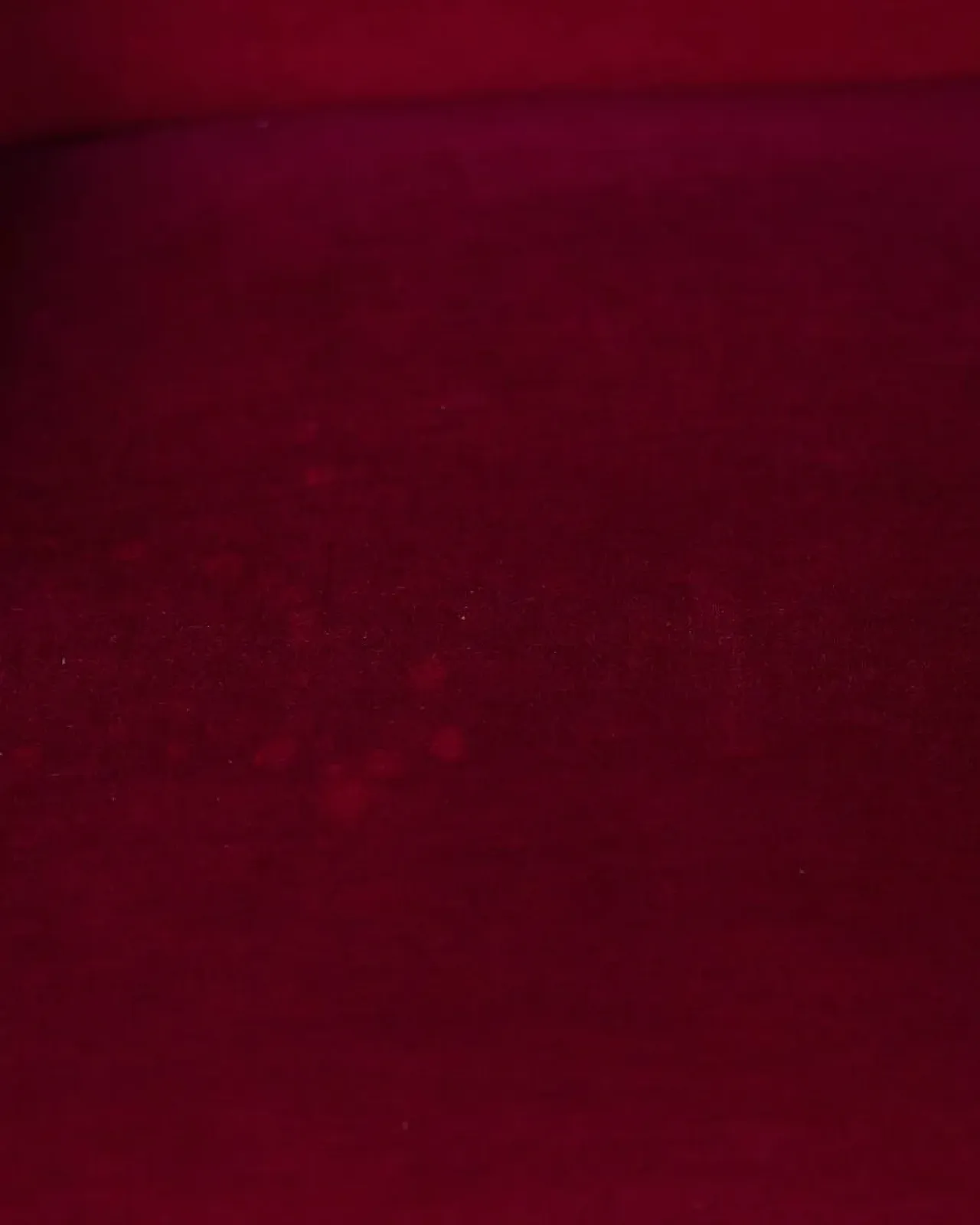 Red velvet sofa, 1950s 11