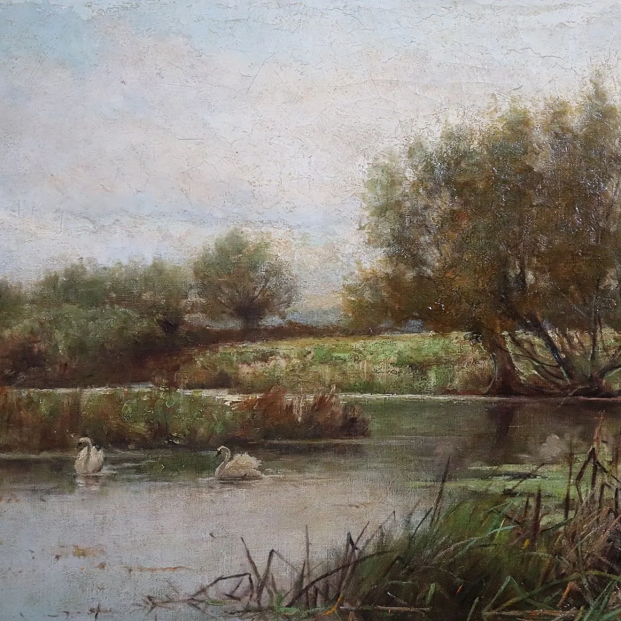 Scorcio dell'Avon con cigni, dipinto ad olio su tela, '800 4