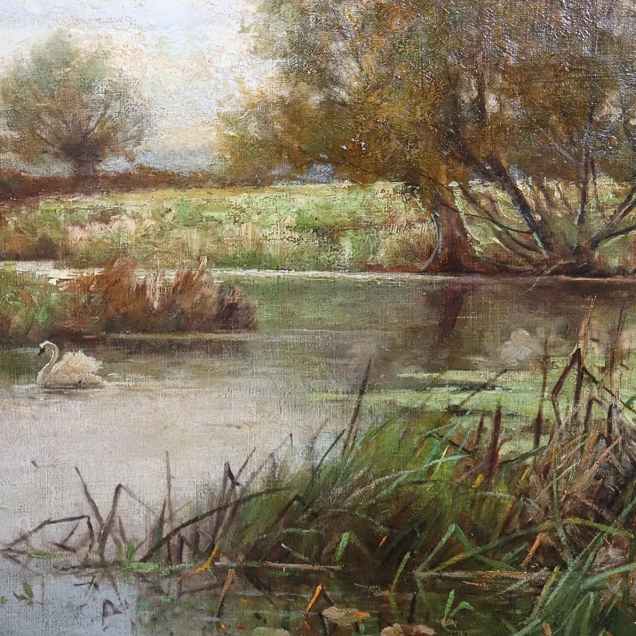 Scorcio dell'Avon con cigni, dipinto ad olio su tela, '800 7