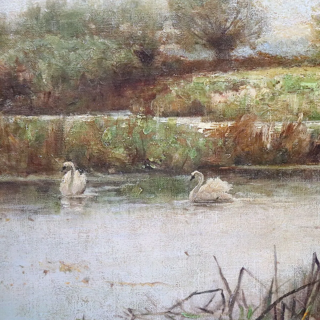 Scorcio dell'Avon con cigni, dipinto ad olio su tela, '800 9