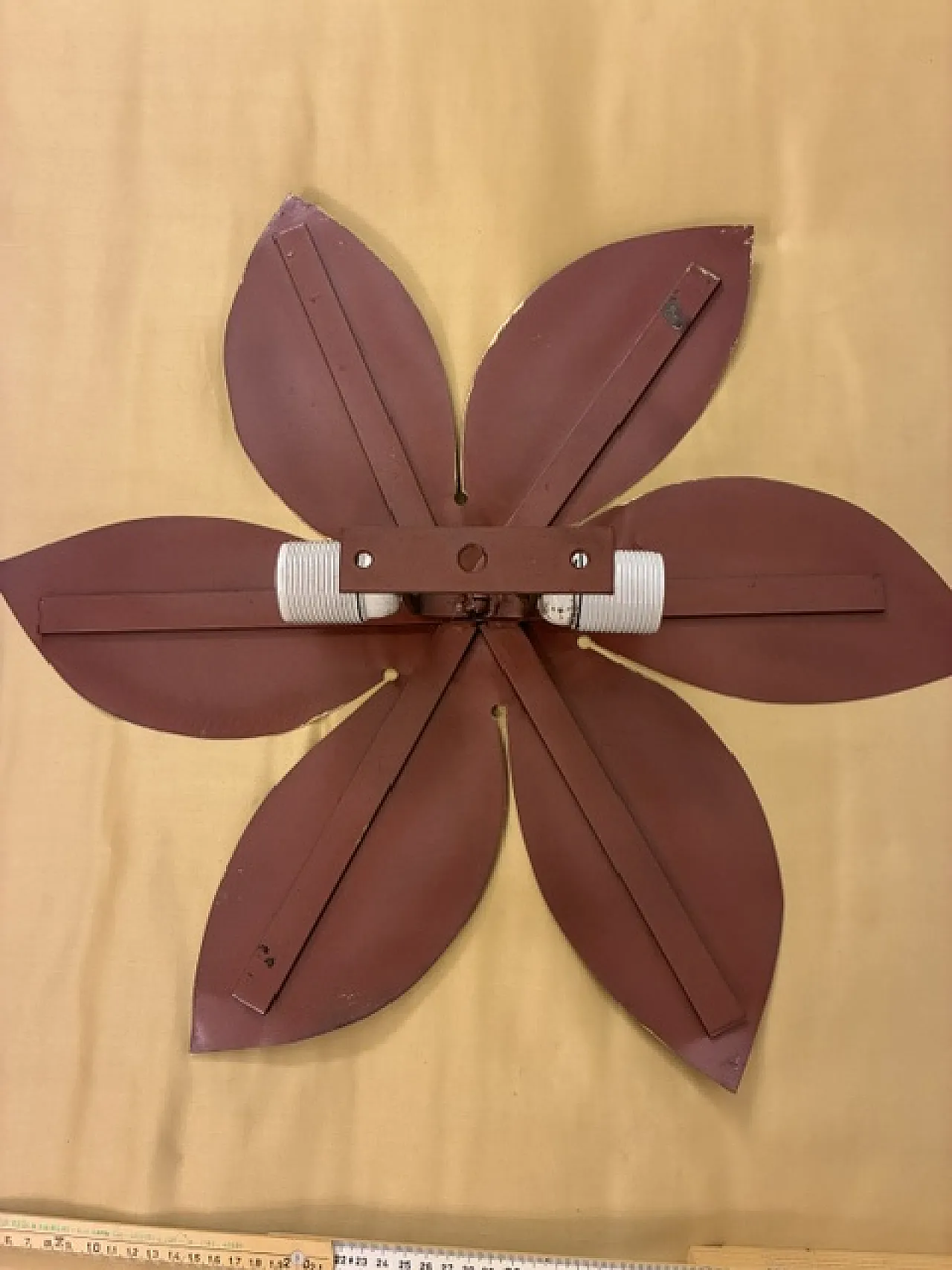 Wall magnolia, 2000s 3