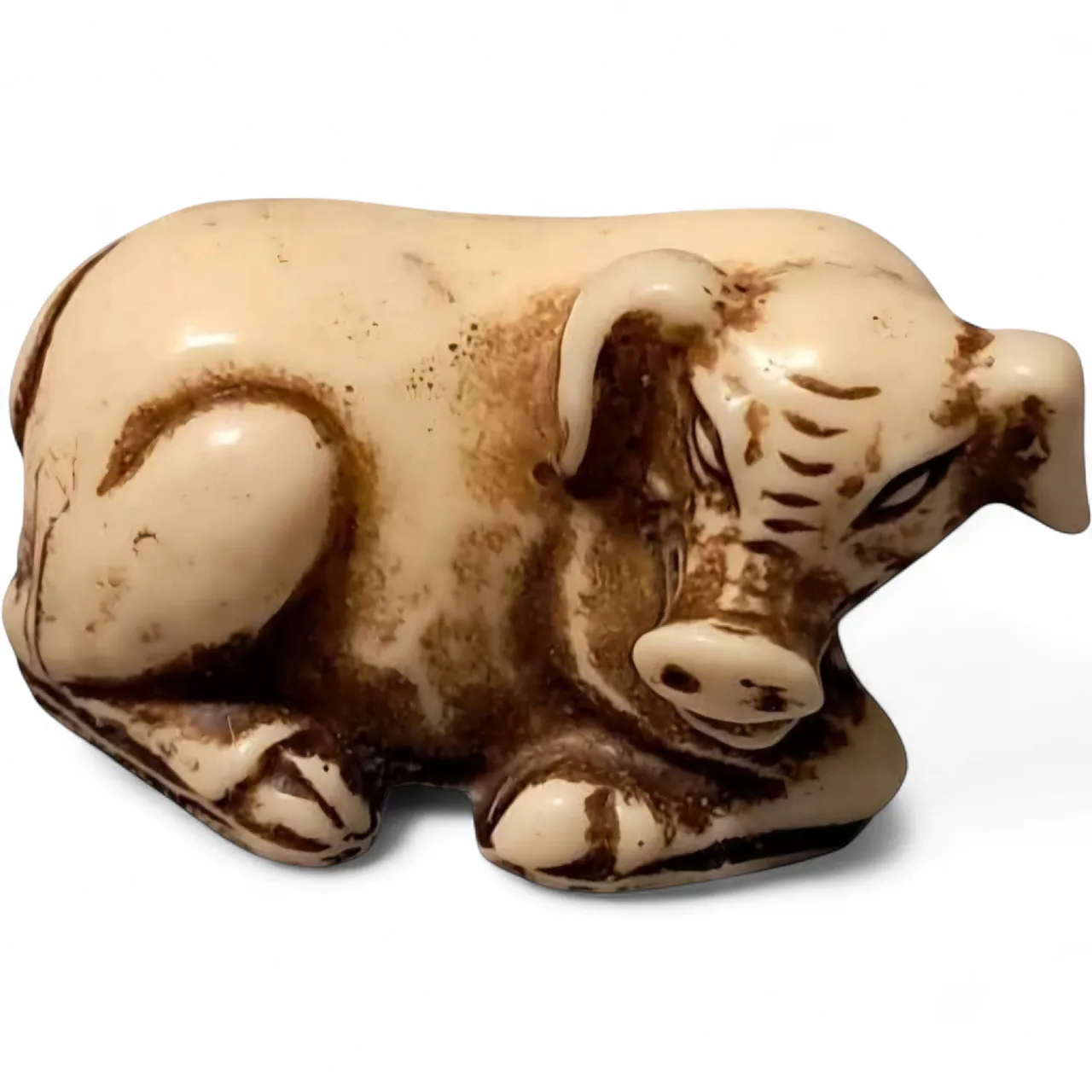 Maiale cinese Netsuke in avorio Dinastia Ming 7