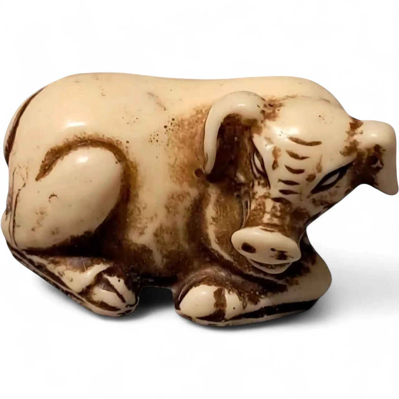 Maiale cinese Netsuke in avorio Dinastia Ming 8