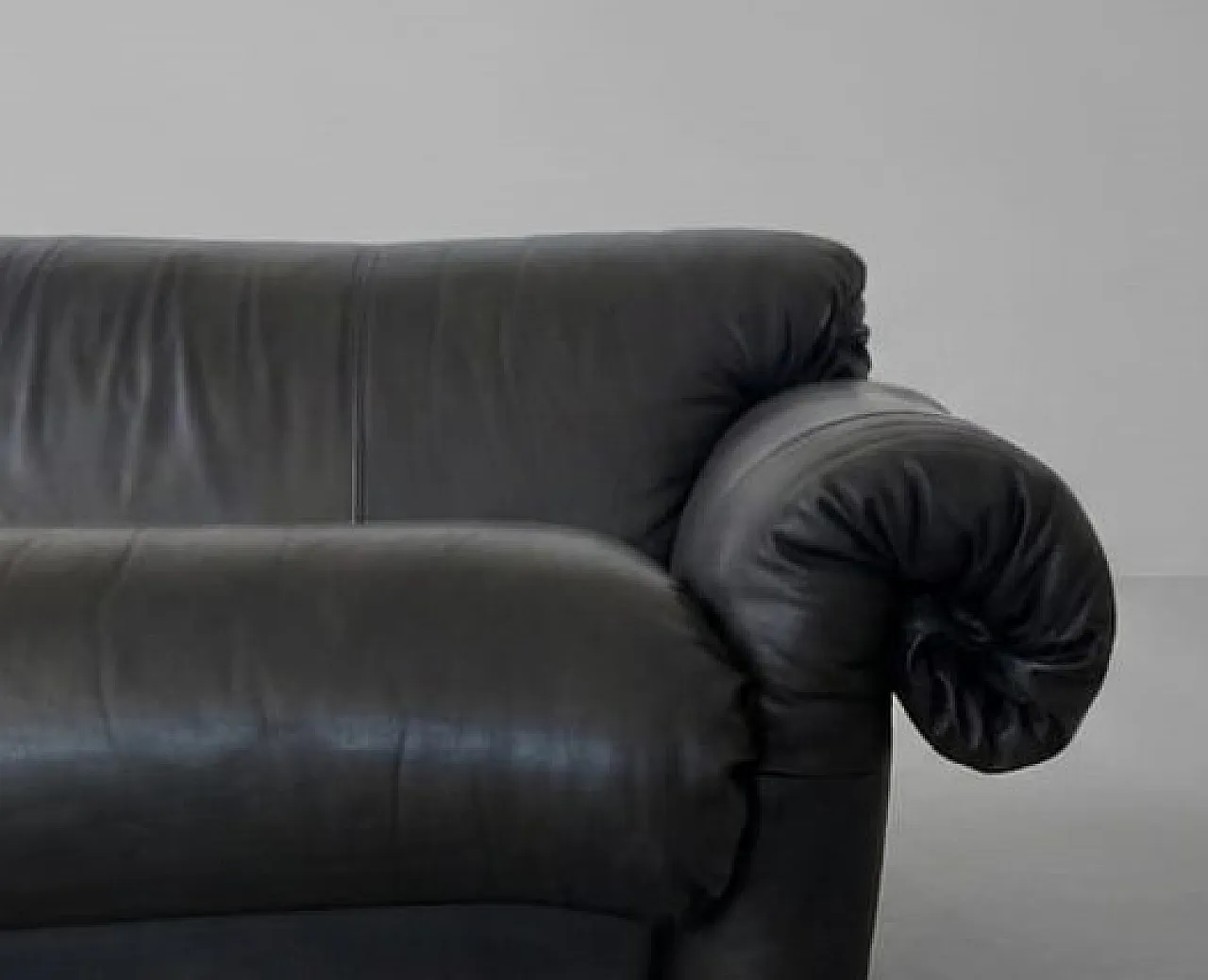 Two-seater sofa Mod.119 Ricciolo by Guido Rosati for Poltronova, 1970s 9