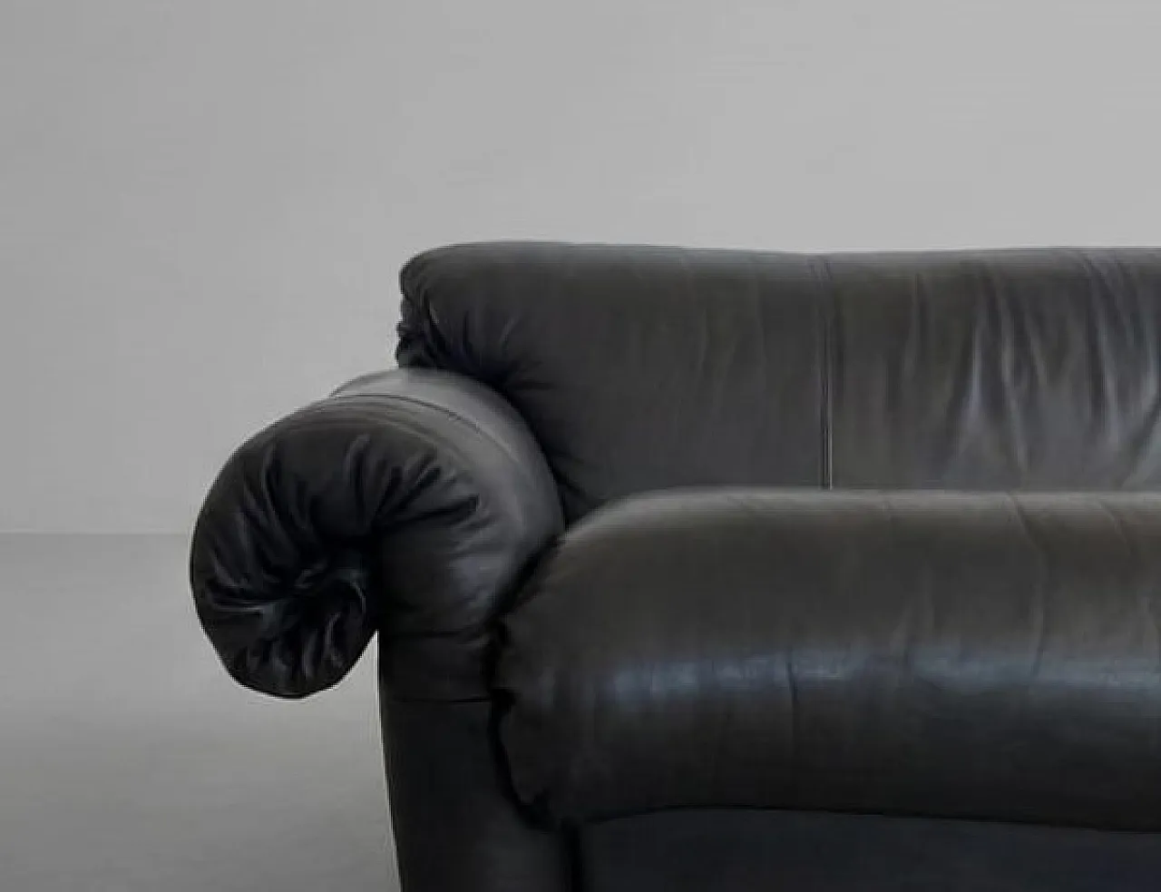 Two-seater sofa Mod.119 Ricciolo by Guido Rosati for Poltronova, 1970s 11