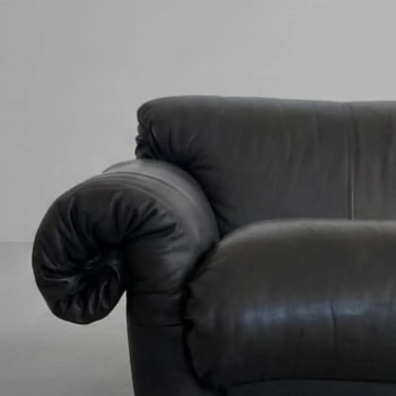 Two-seater sofa Mod.119 Ricciolo by Guido Rosati for Poltronova, 1970s 13