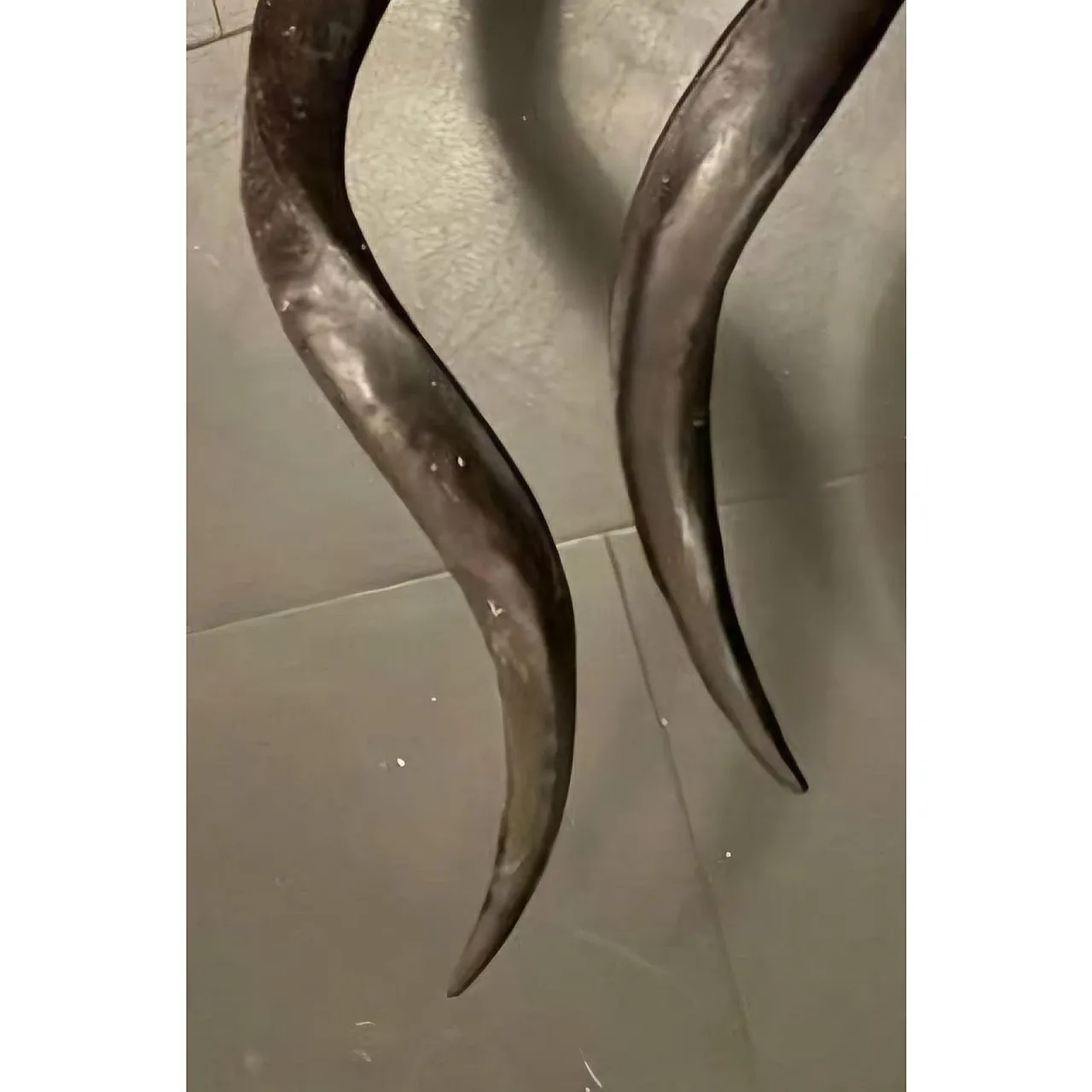 Pair of African Safari Trophy Wall Lamps, Mid 20th Century 4