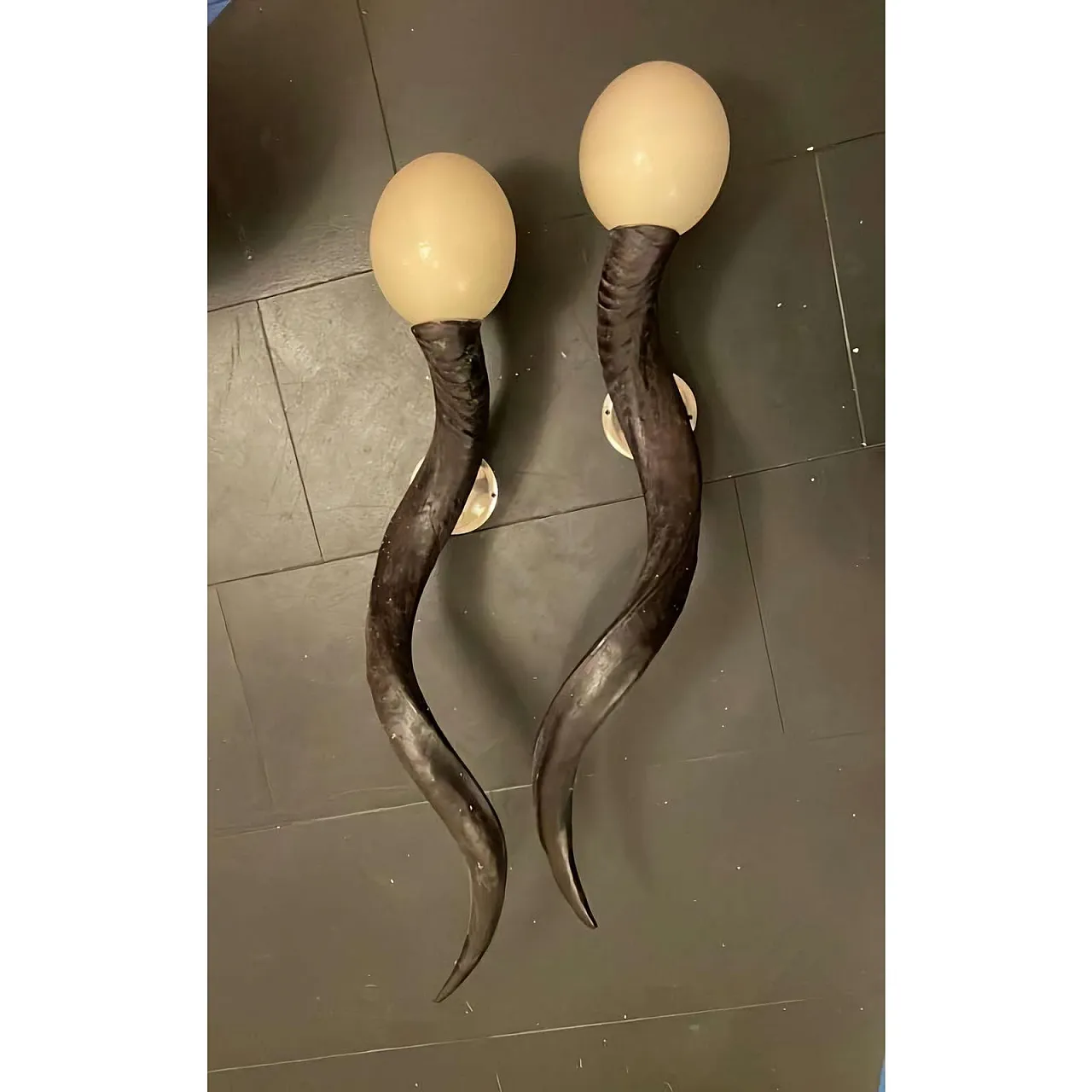 Pair of African Safari Trophy Wall Lamps, Mid 20th Century 5