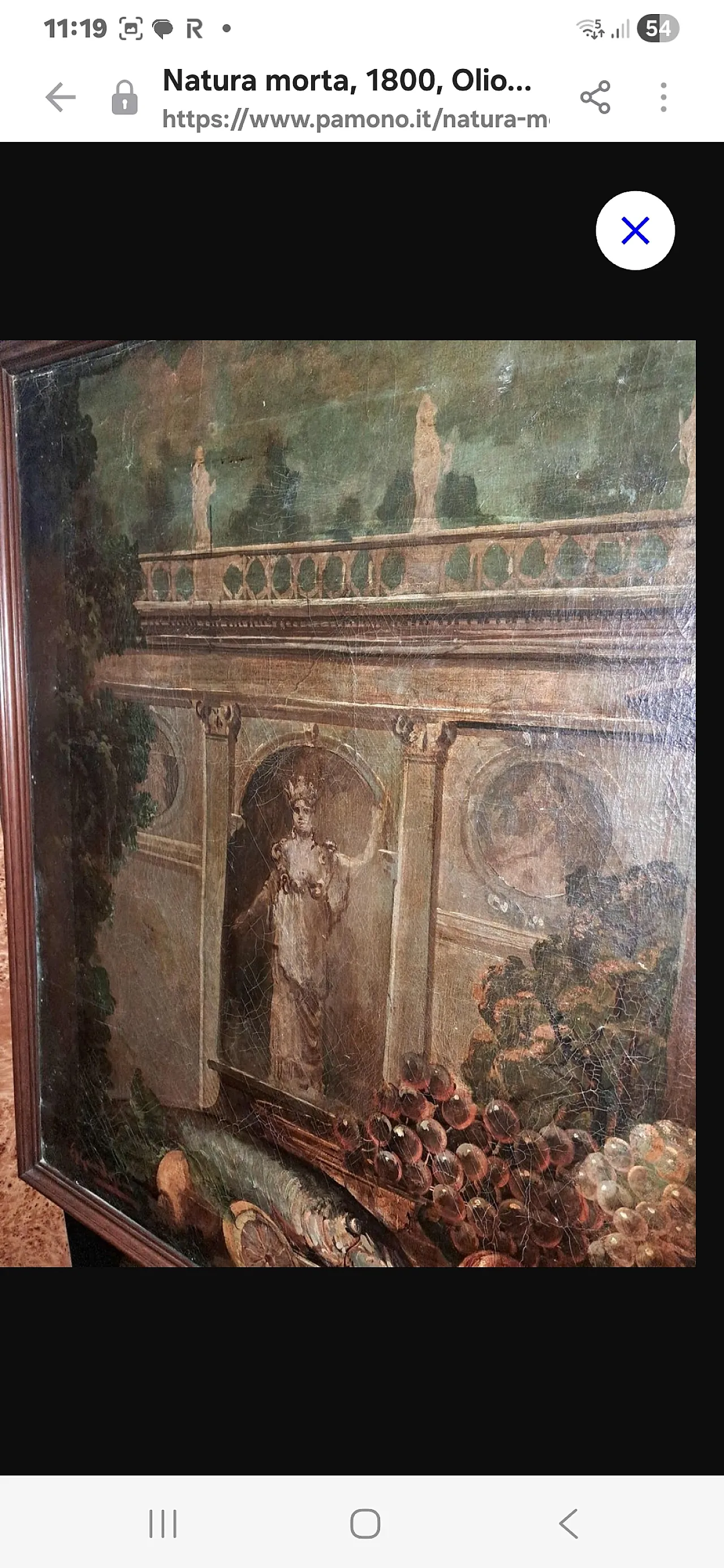 Grande Natura morta con pesci, olio su tela, '800 5