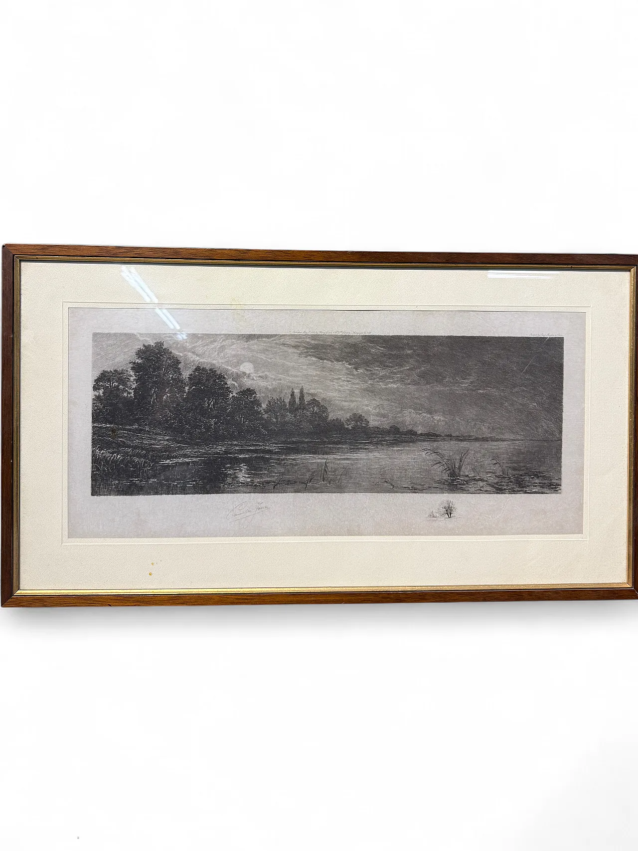 Ancient naturalist etching by Jean-Camille Fonce, 1867-1938 12