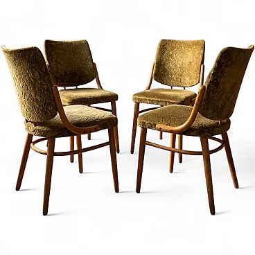 4 Bentwood dining chairs in beechwood & olive velour by TON, 1970s