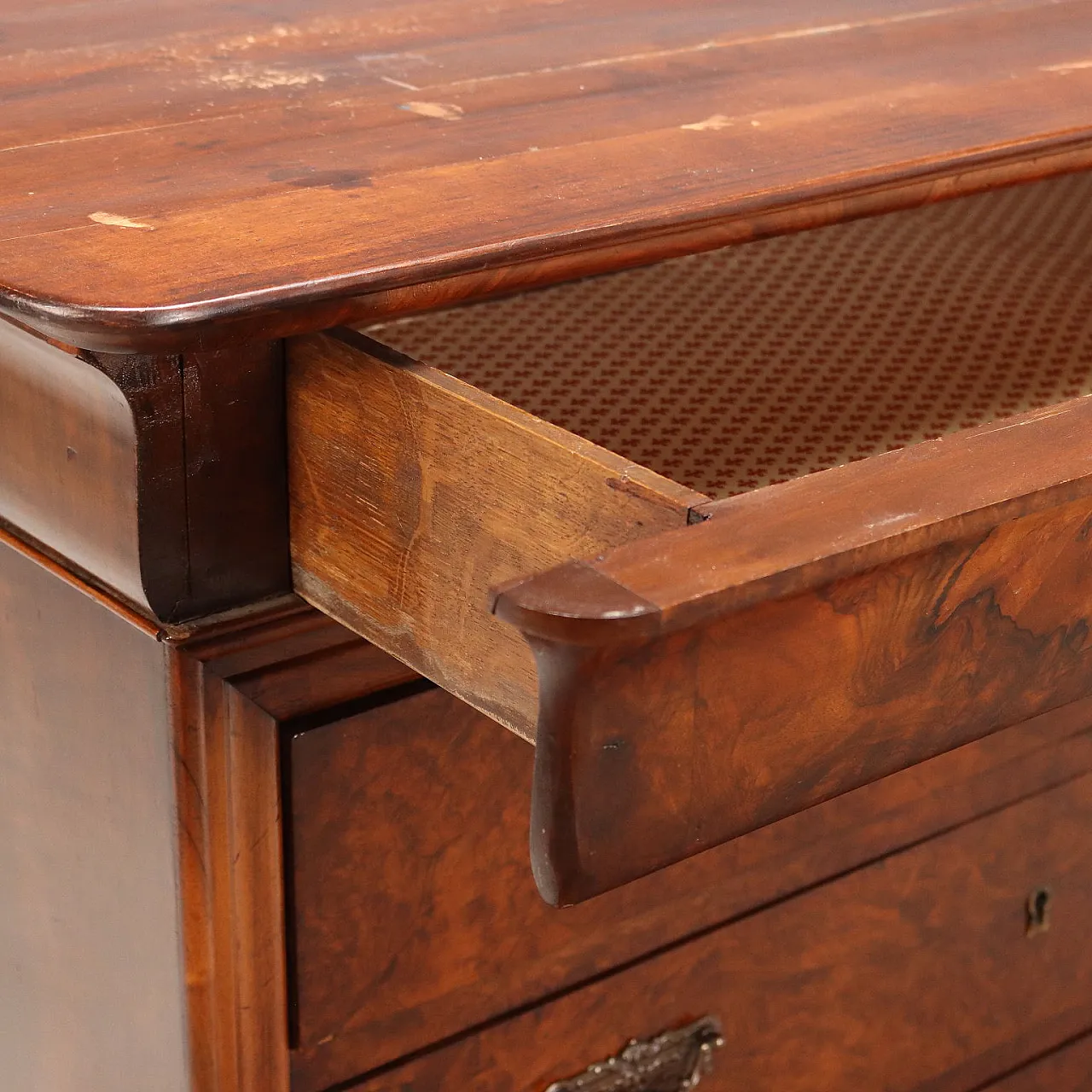Carlo X chest of drawers in walnut and walnut root, 19th century 5