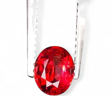 Padparadscha Zaffiro, anni 2000