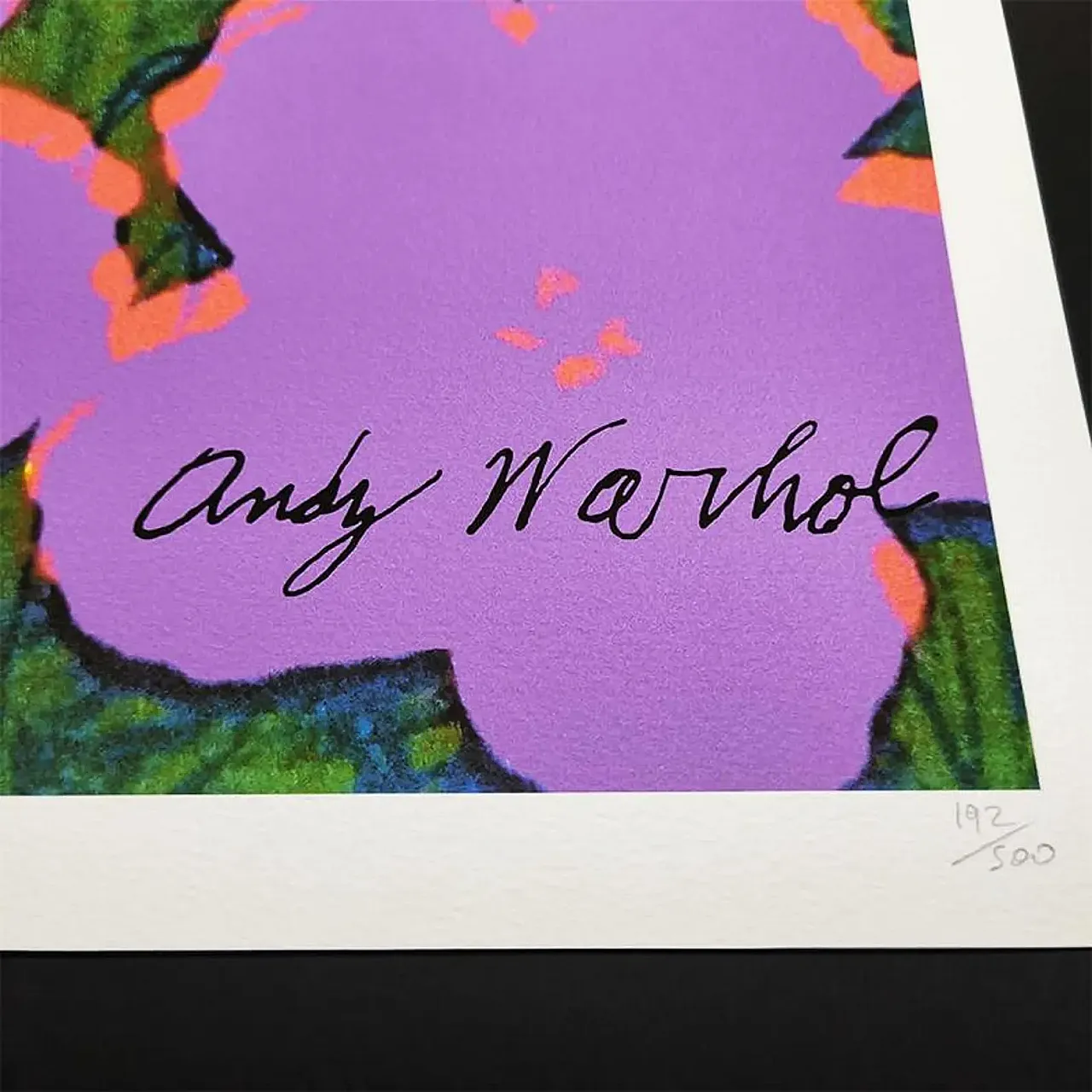 Andy Warhol, Flowers, limited edition lithograph by CMOA, 1980s 3