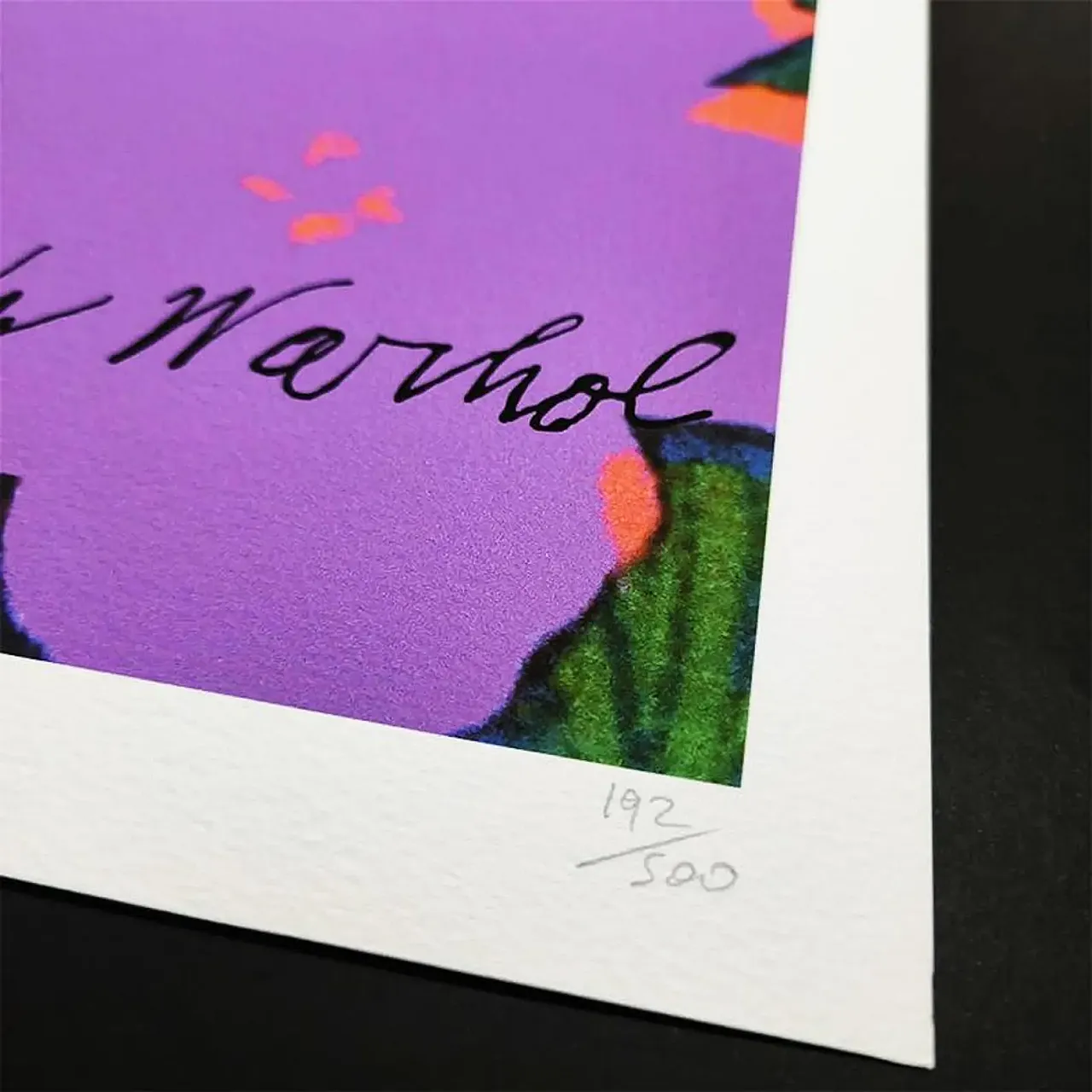 Andy Warhol, Flowers, limited edition lithograph by CMOA, 1980s 4