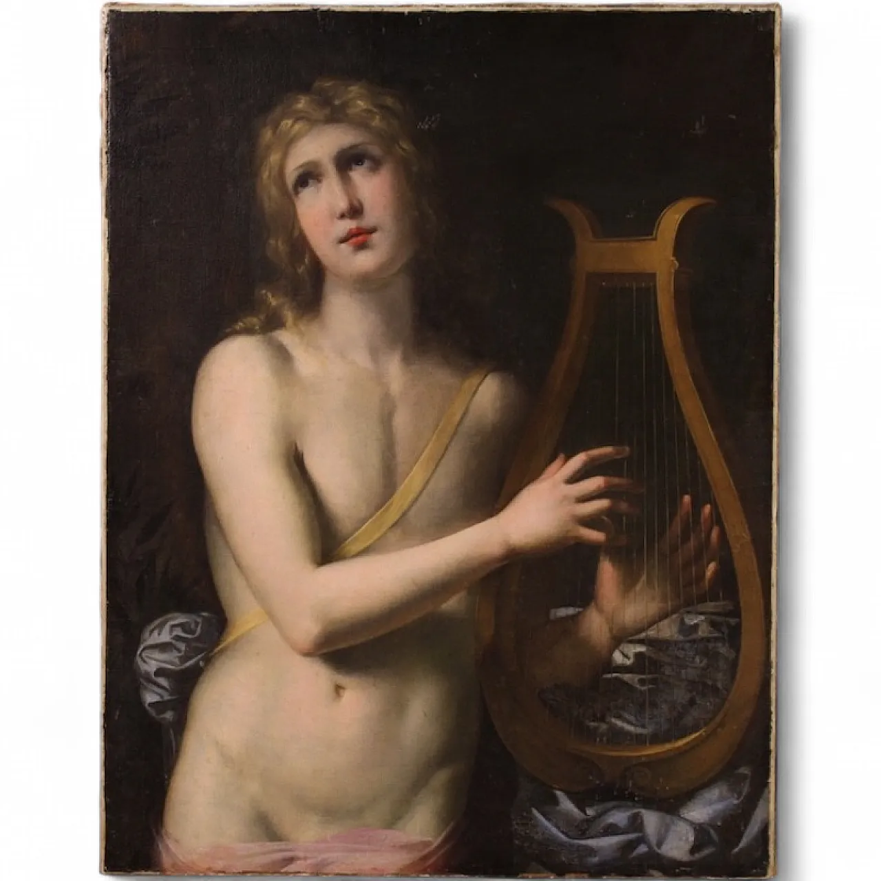 Dipinto mitologico Apollo suona la lira, '600 14