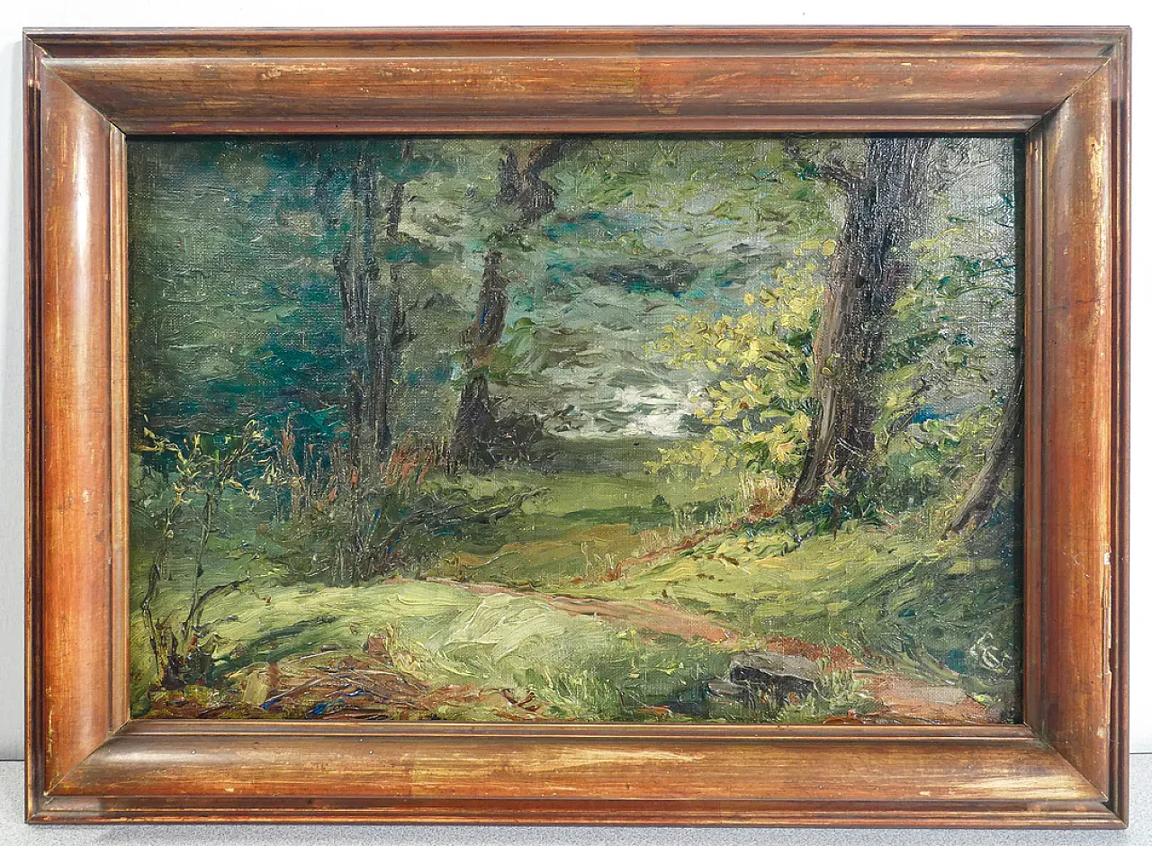 Paesaggio boschivo, olio su tela, primo '900 1