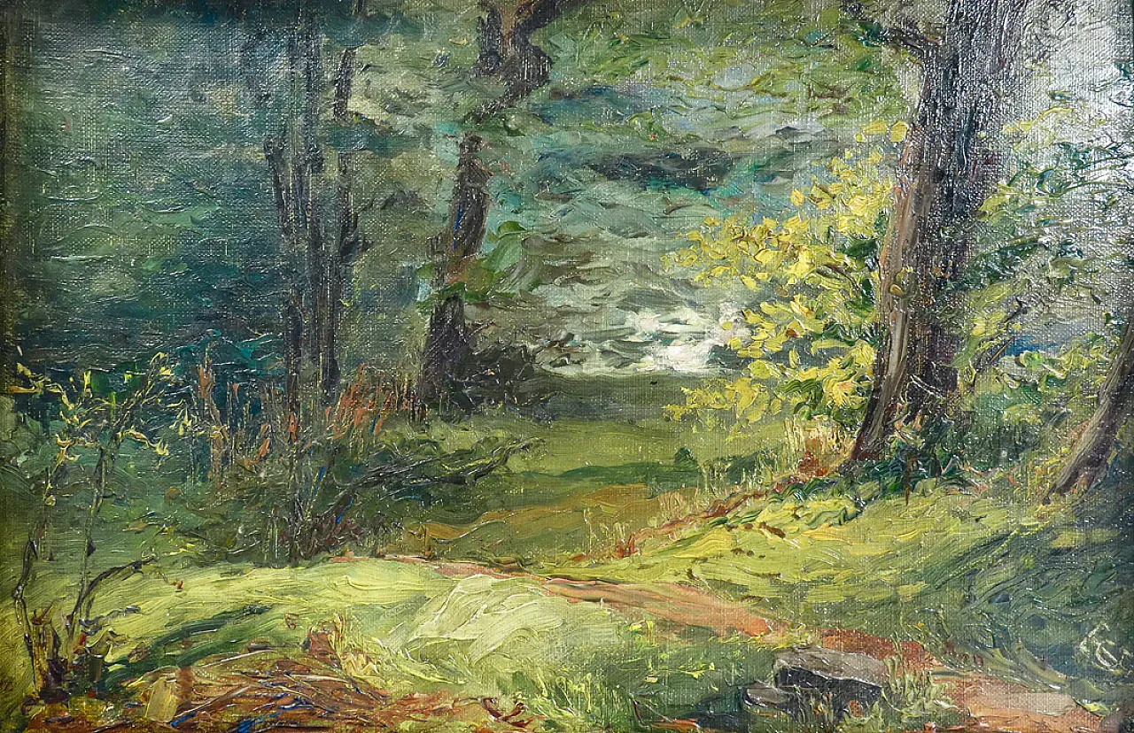 Paesaggio boschivo, olio su tela, primo '900 2