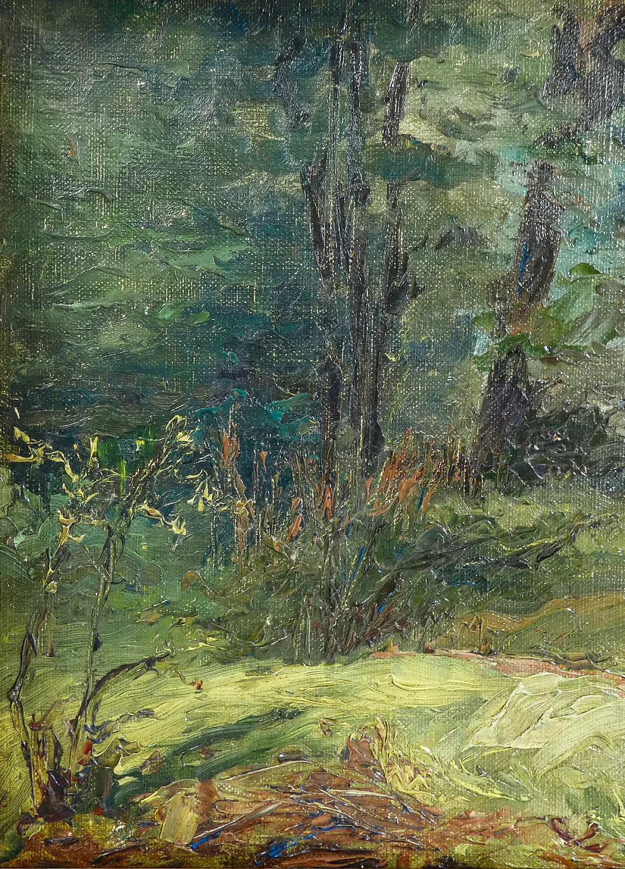 Paesaggio boschivo, olio su tela, primo '900 3