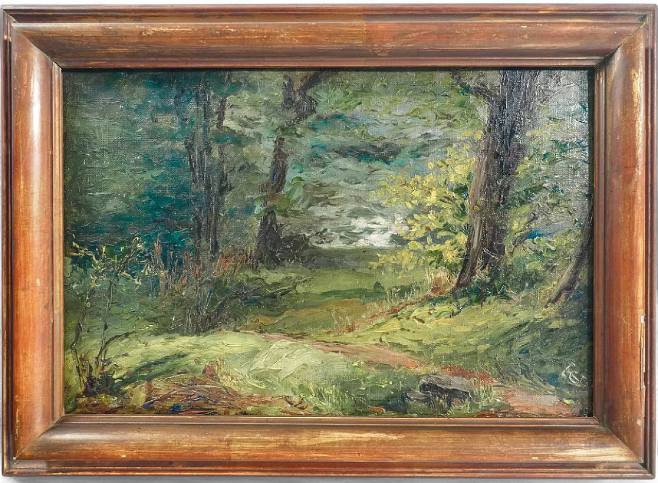 Paesaggio boschivo, olio su tela, primo '900 7
