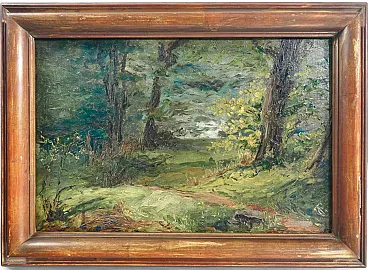 Paesaggio boschivo, olio su tela, primo '900