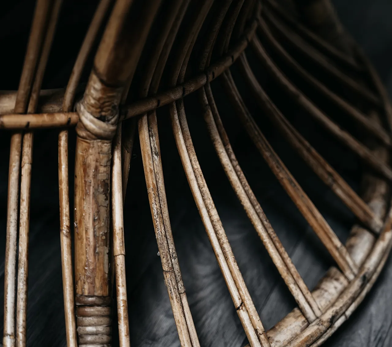 Armchair by Lio Carminati for Bonacina Vimini, 1950s 12