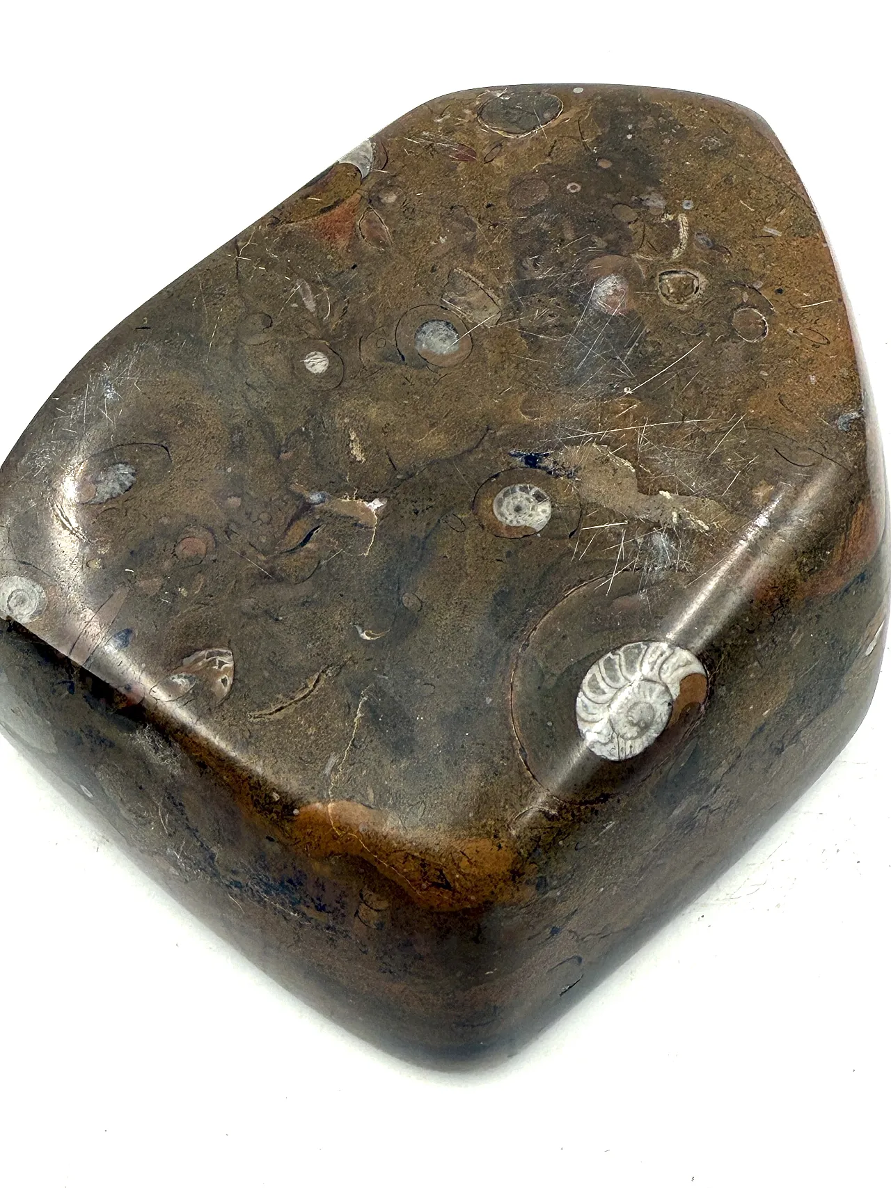 Fossil brown marble ashtray, France, 1970s 11