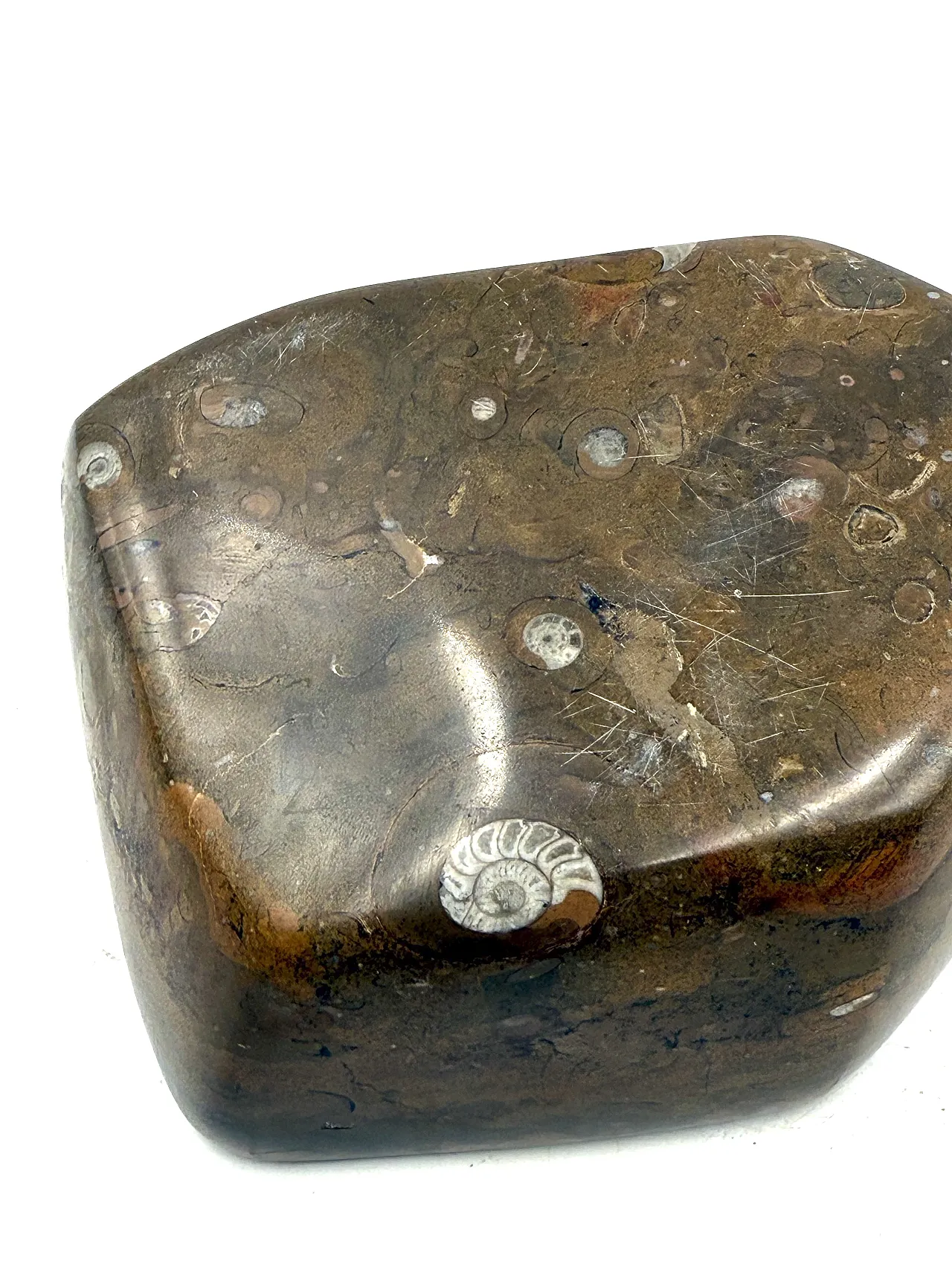 Fossil brown marble ashtray, France, 1970s 12