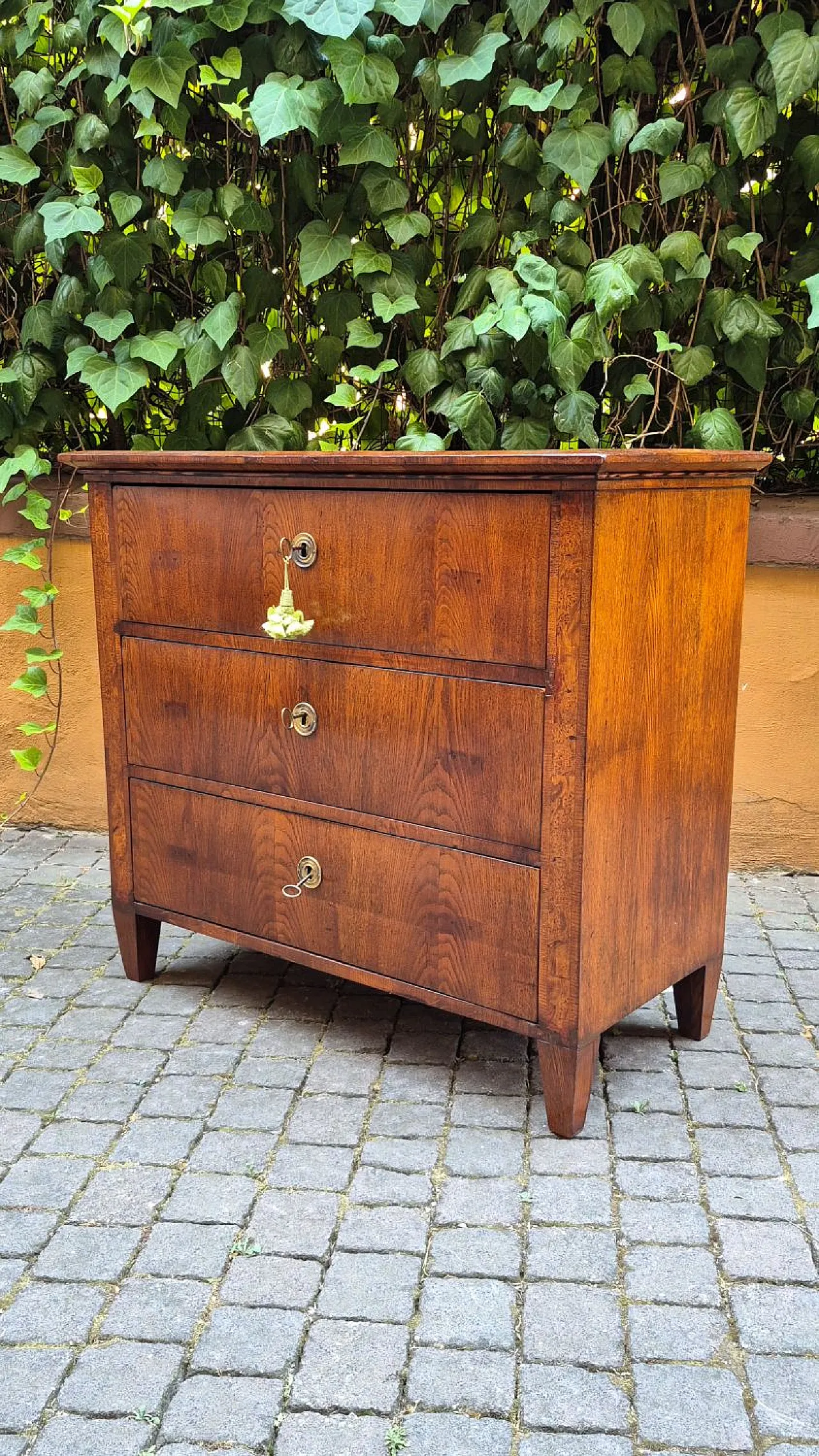 Laid Louis XVI style chest of drawers, 19th century 5