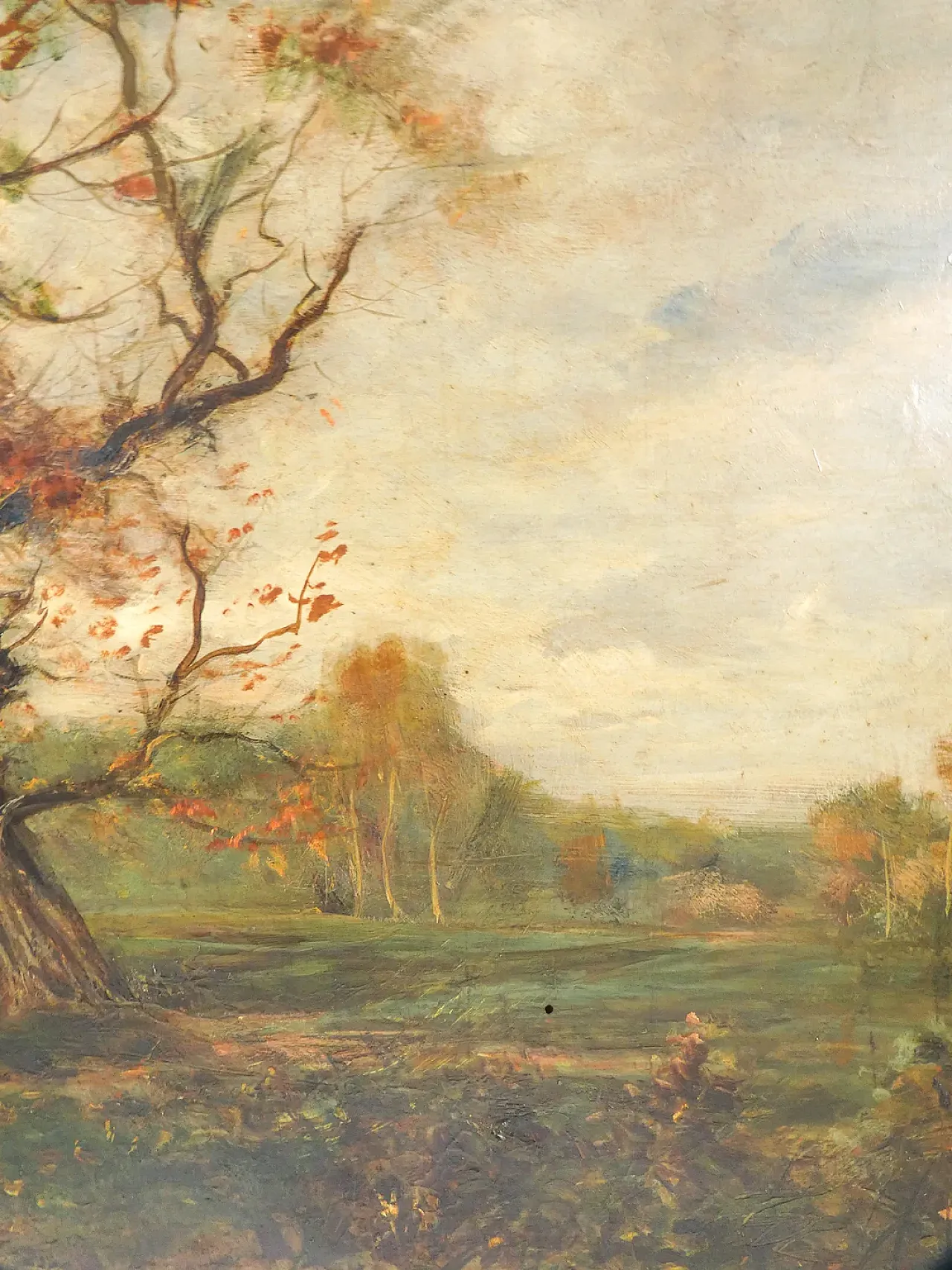 Paesaggio campestre di Vittorio BUSSOLINO, olio su tavola, fine '800 5